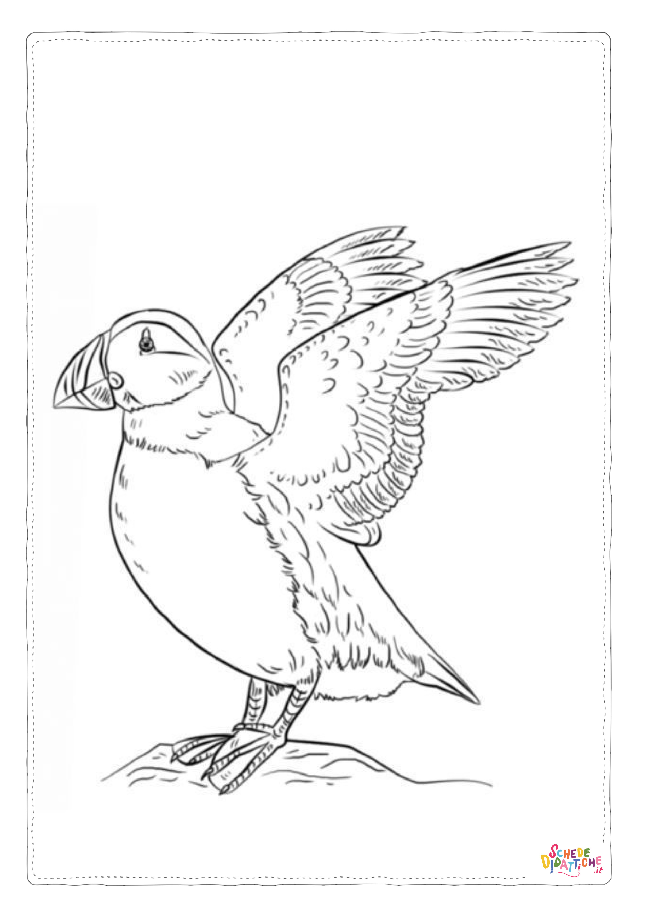 Disegno "Disegno di tucano da stampare e colorare 11" Disegno di tucano da stampare e colorare 11