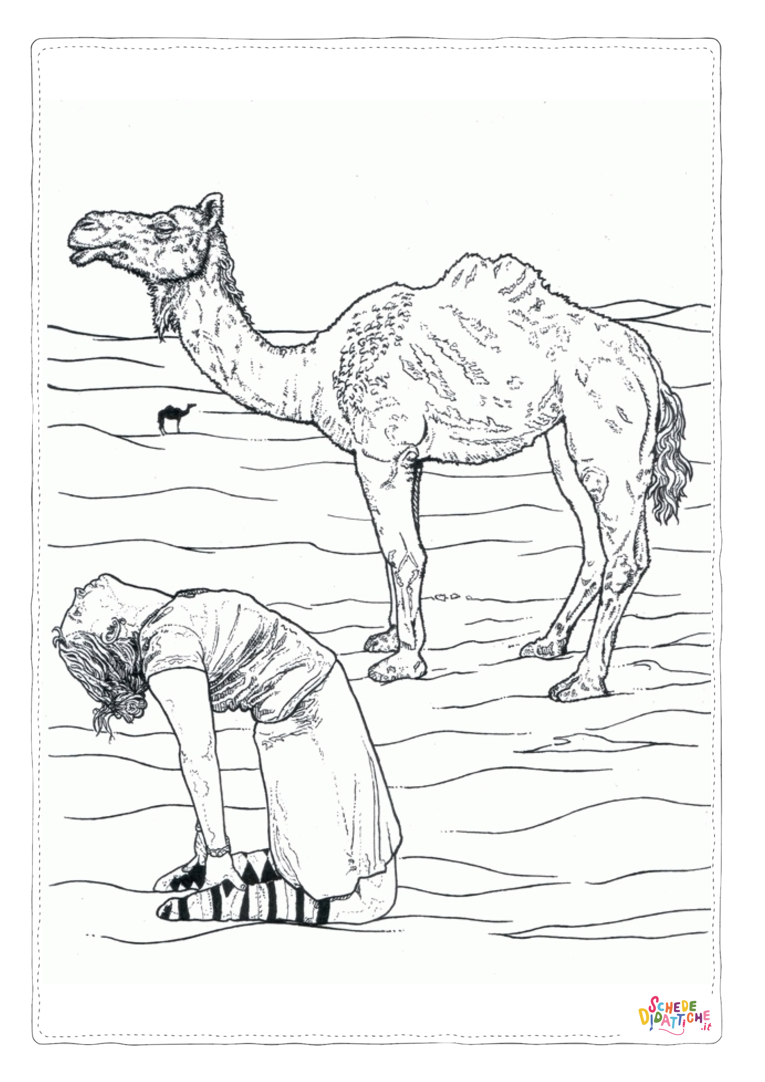 Disegno di dromedario da stampare e colorare