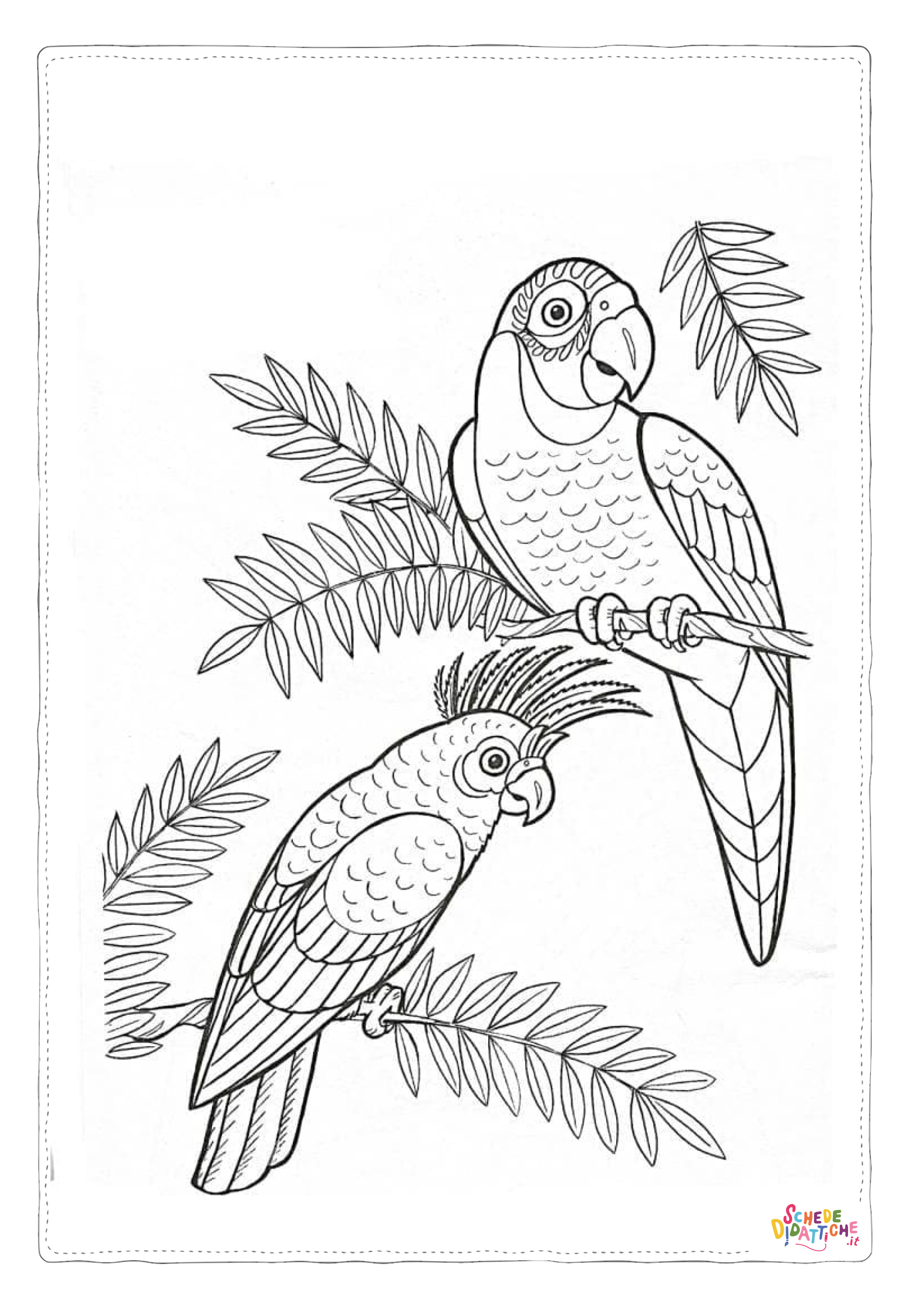 Disegno "Disegno di pappagallo da stampare e colorare 98" Disegno di pappagallo da stampare e colorare 98