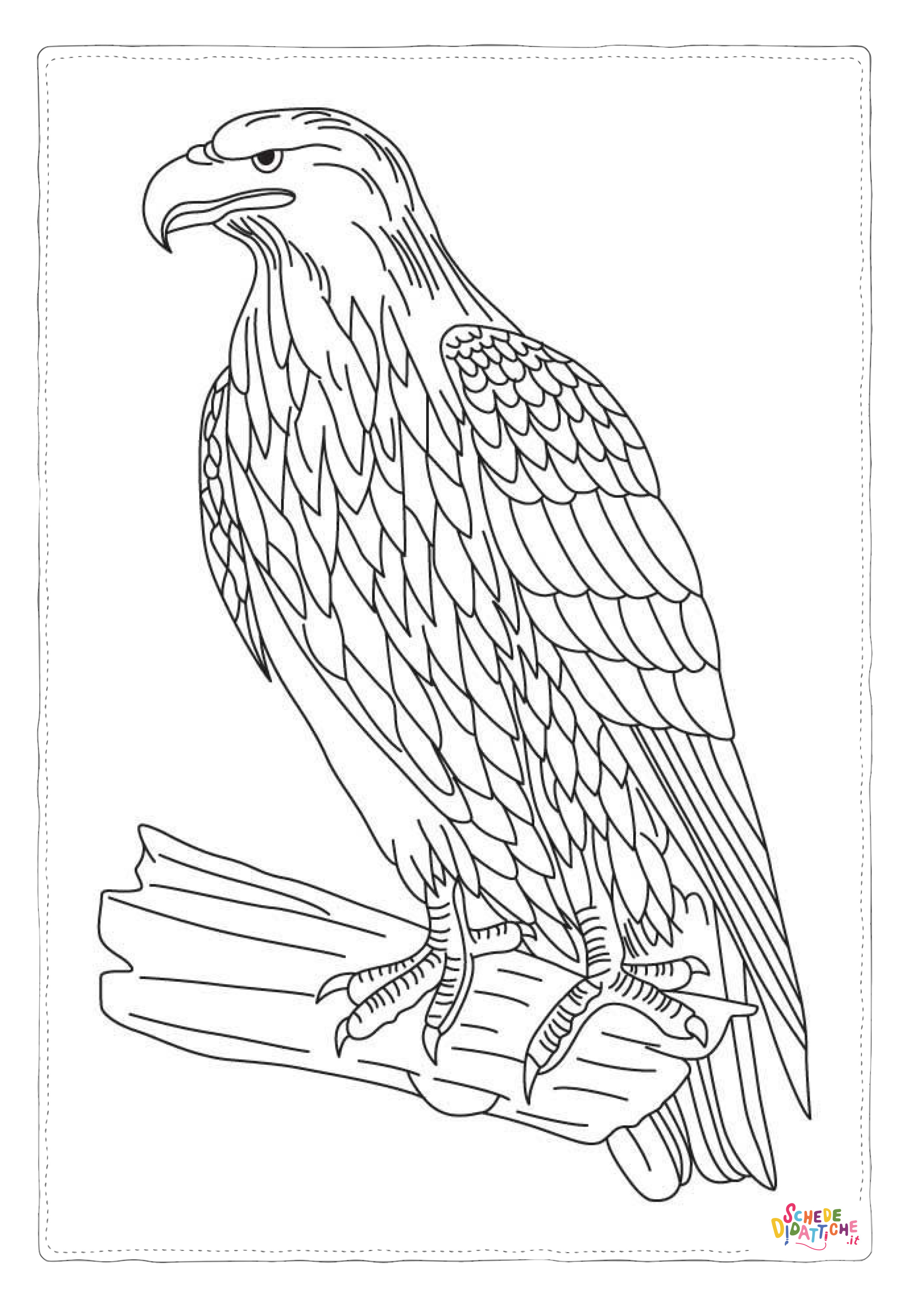 Disegno "Disegno di aquila da stampare e colorare 25" Disegno di aquila da stampare e colorare 25