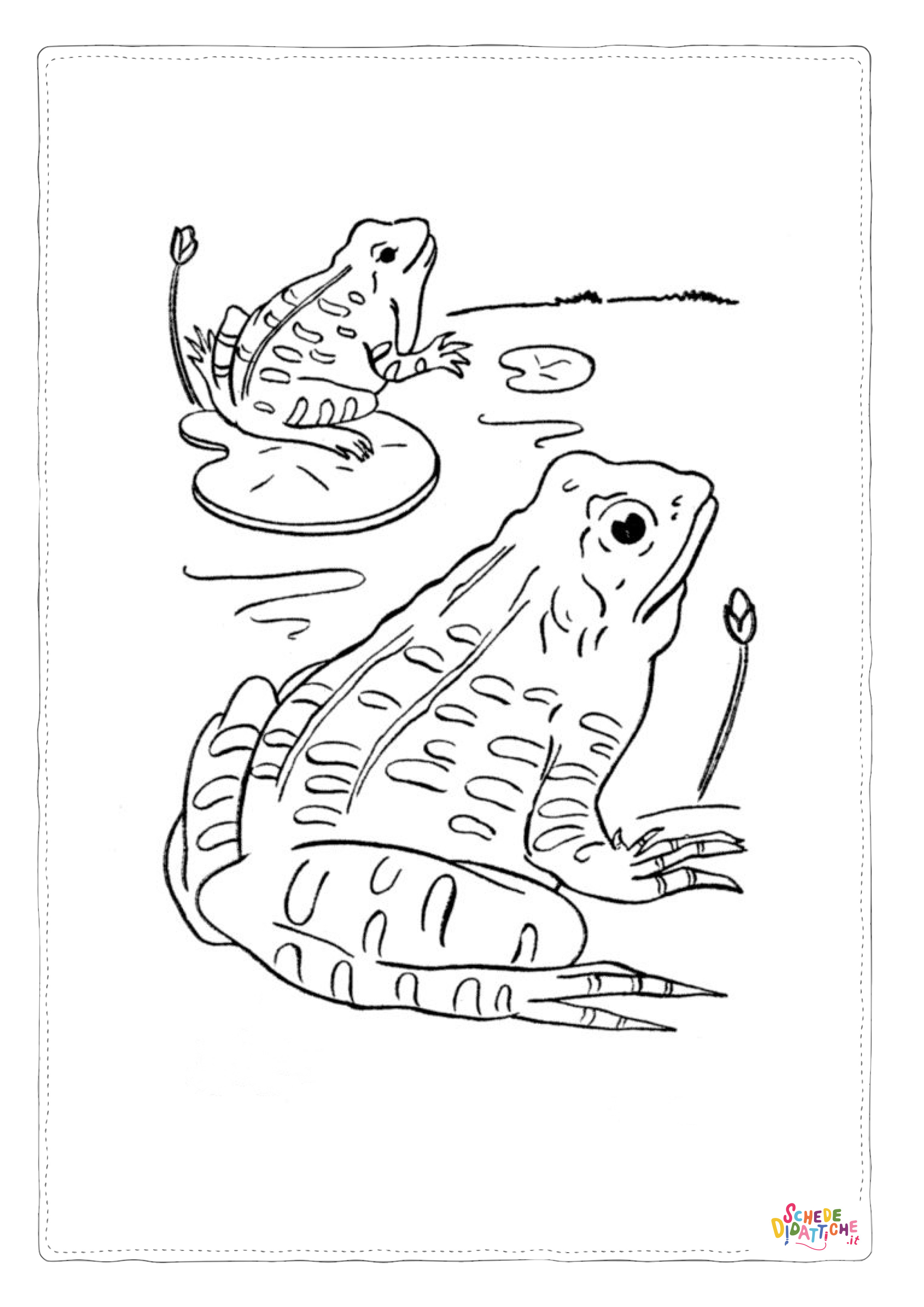 Disegno "Disegno di rana da stampare e colorare 91" Disegno di rana da stampare e colorare 91