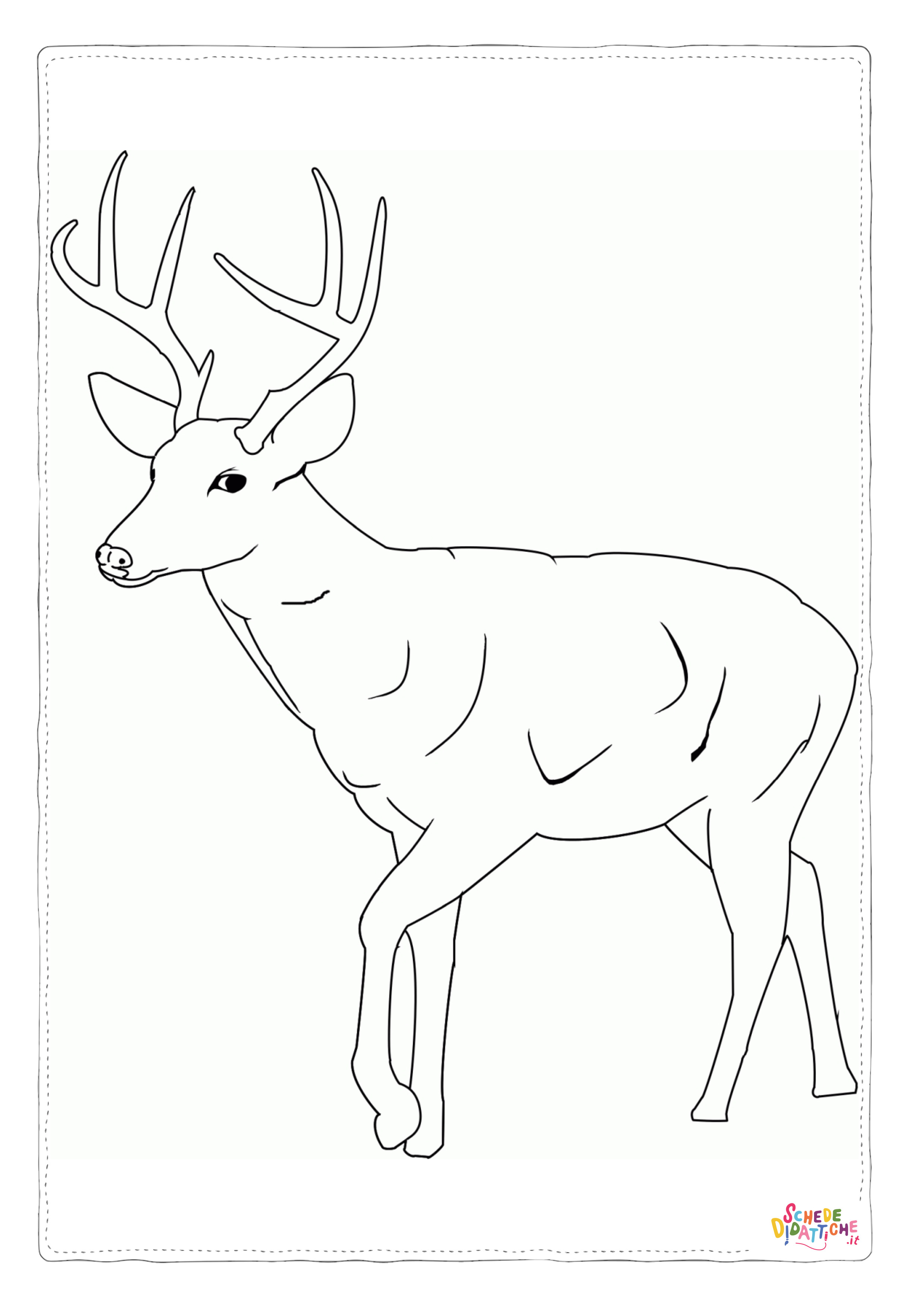 Disegno di cervo da stampare e colorare 24