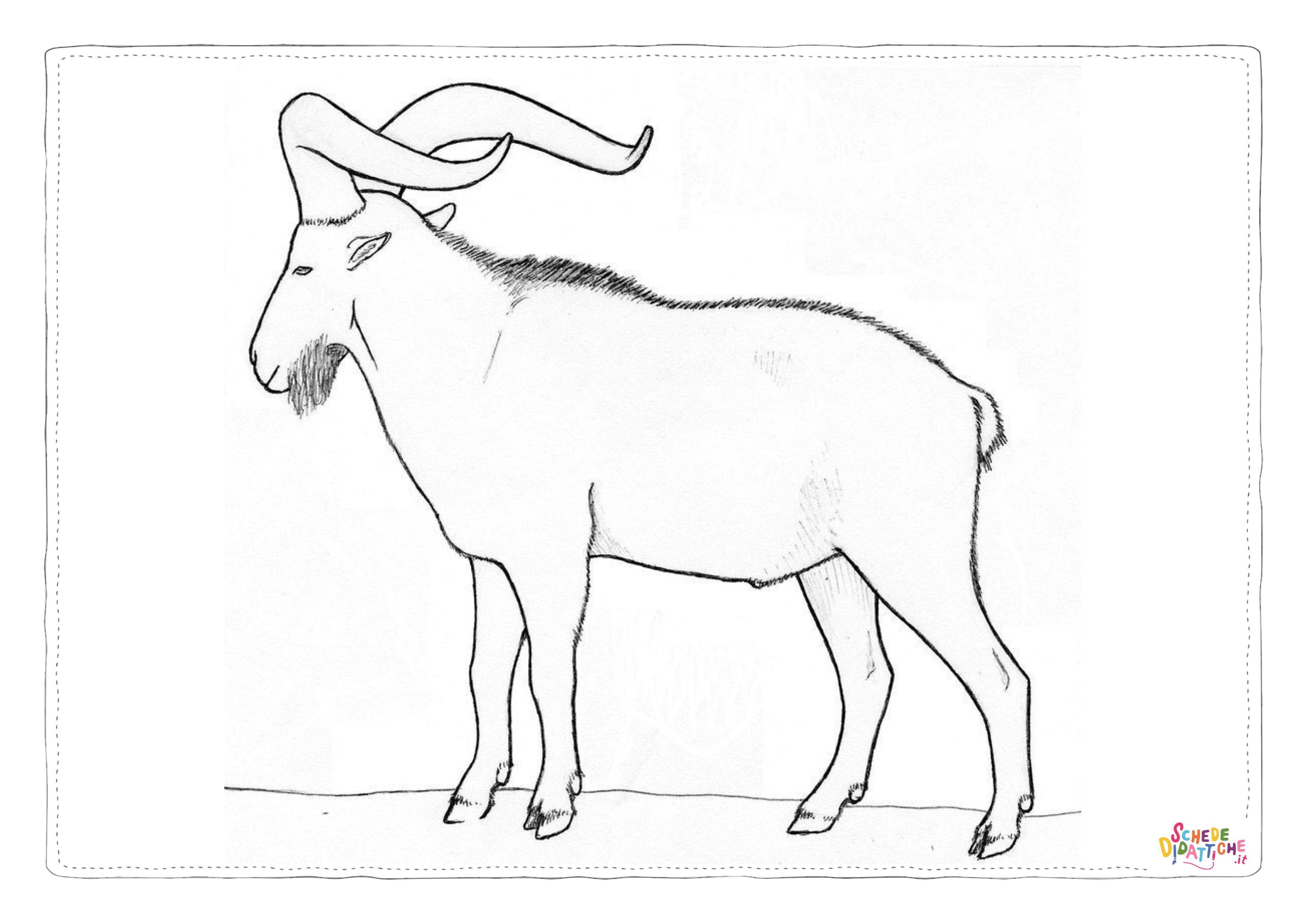 Disegno "Disegno di stambecco da stampare e colorare" Disegno di stambecco da stampare e colorare