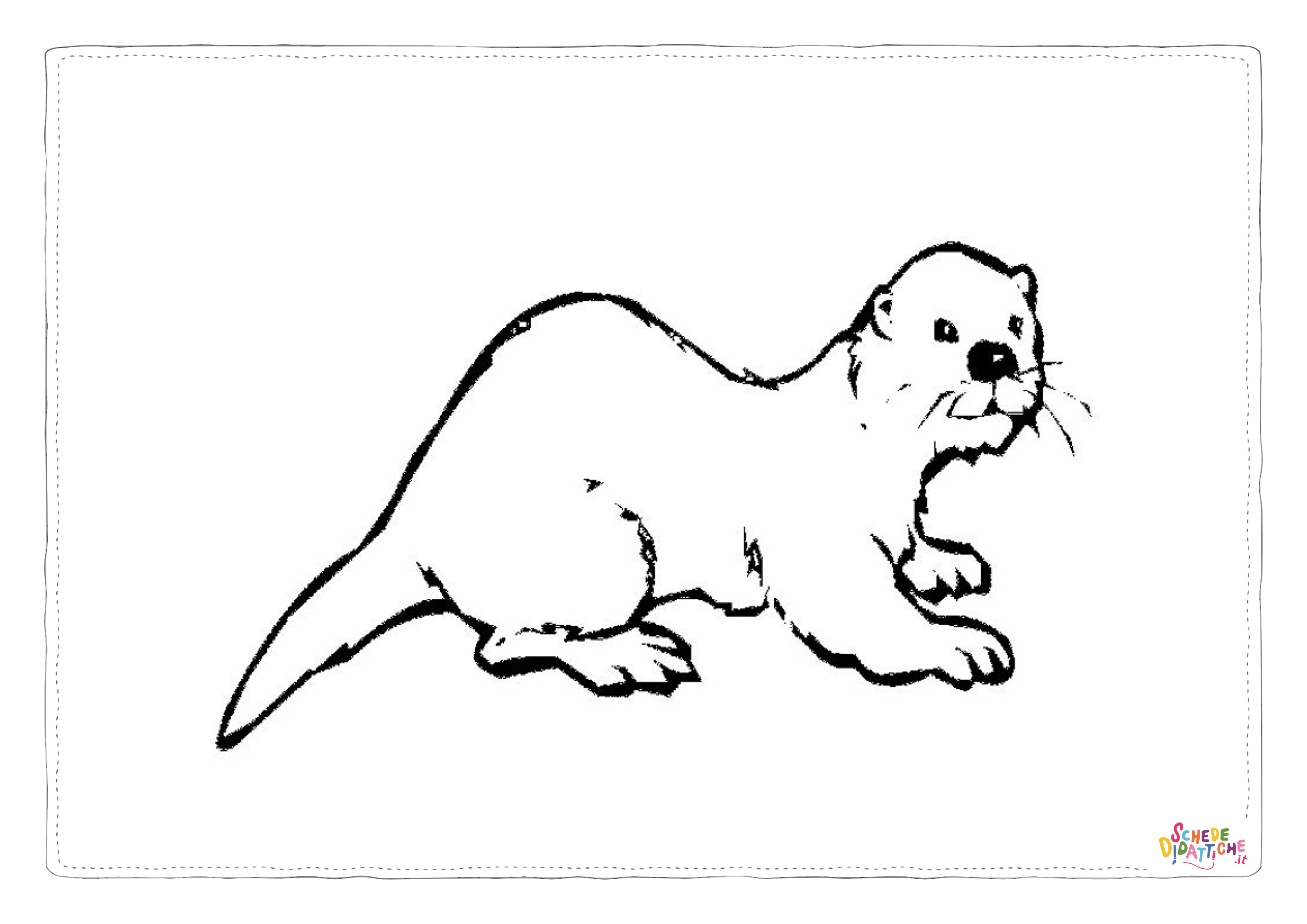Disegno "Disegno di lontra da stampare e colorare 5" Disegno di lontra da stampare e colorare 5