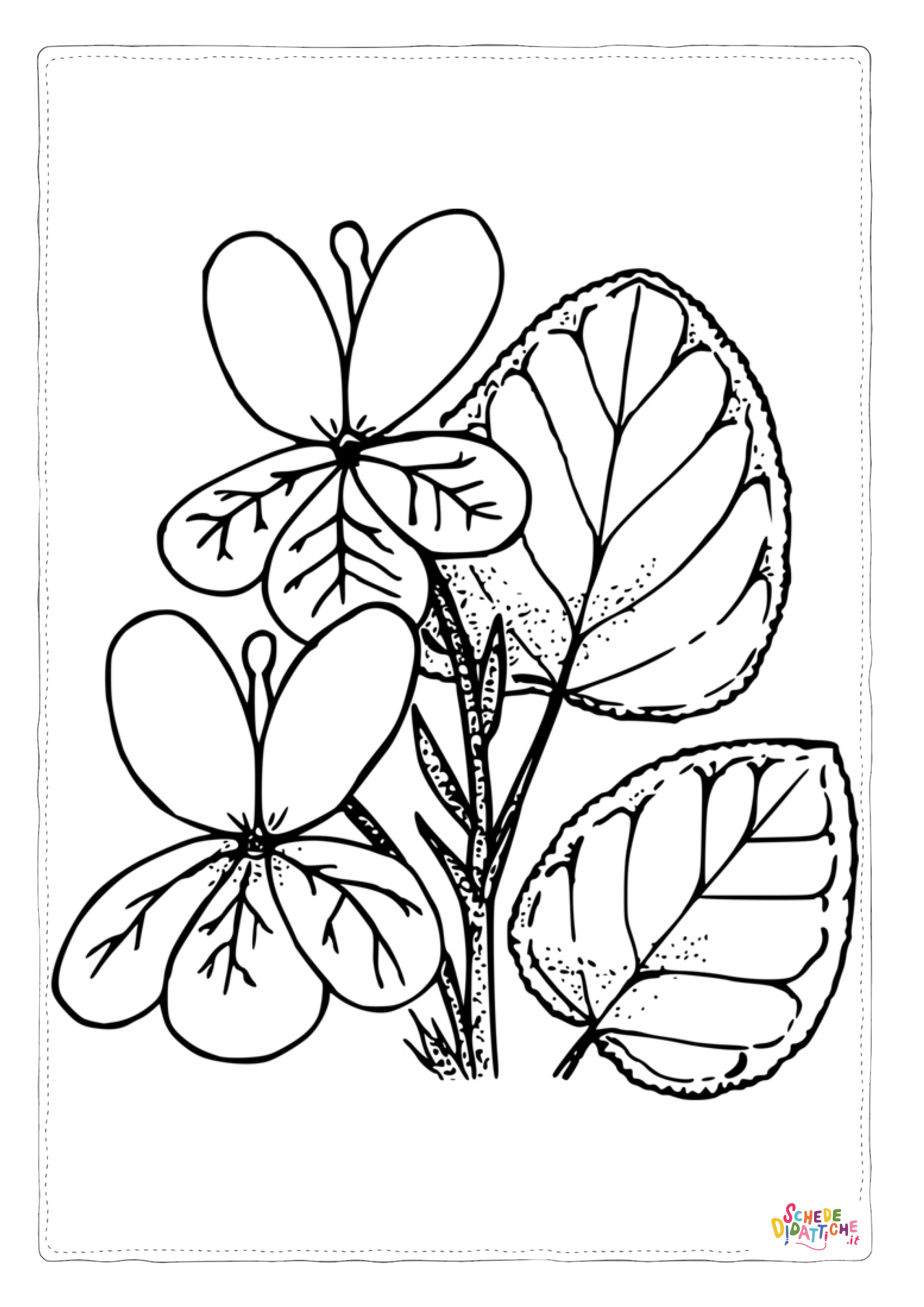 Disegno "Disegno di pianta da stampare e colorare 32" Disegno di pianta da stampare e colorare 32