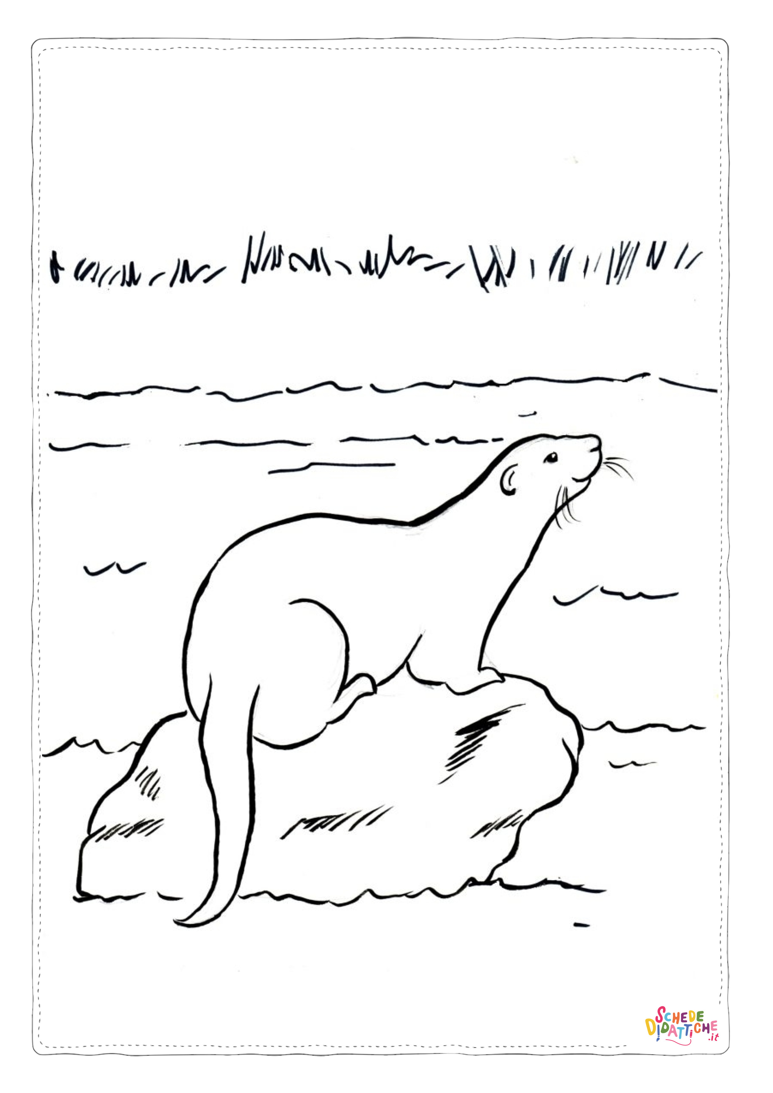 Disegno di lontra da stampare e colorare 19