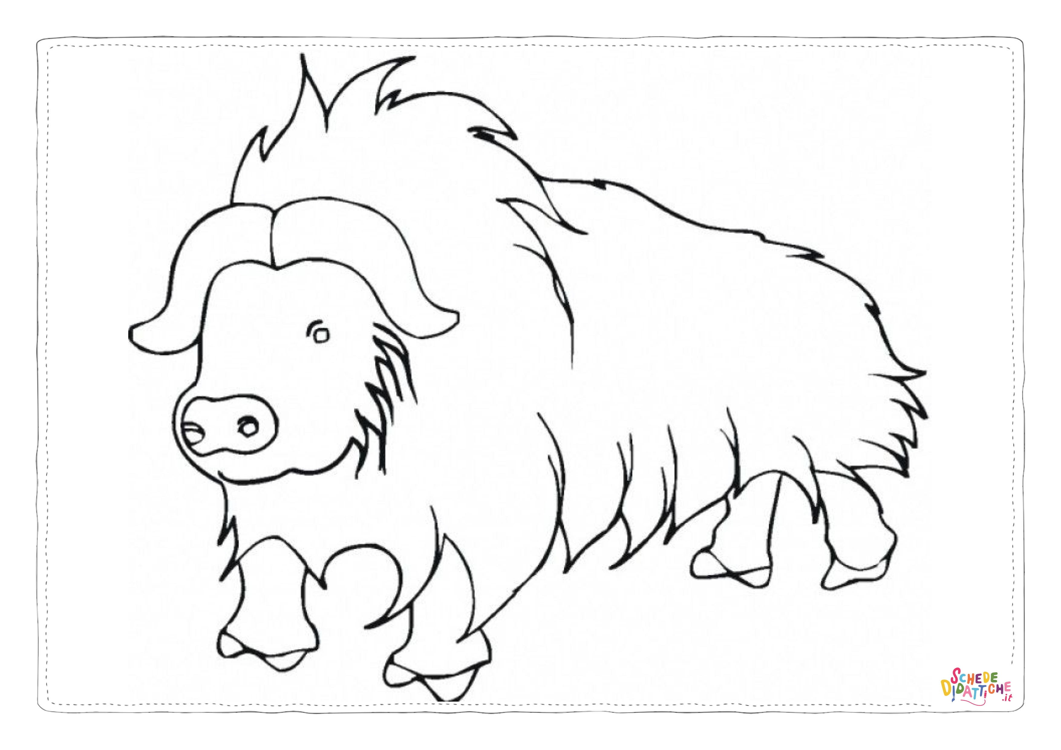 Disegno di bufalo da stampare e colorare 4