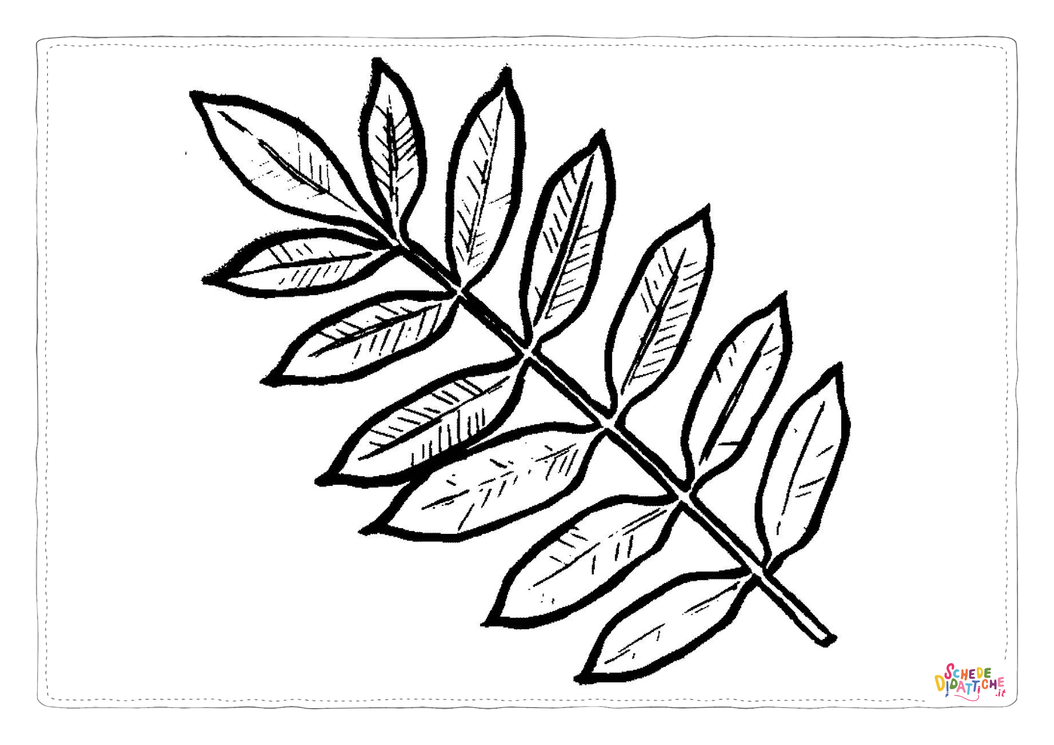 Disegno di foglia da stampare e colorare 174