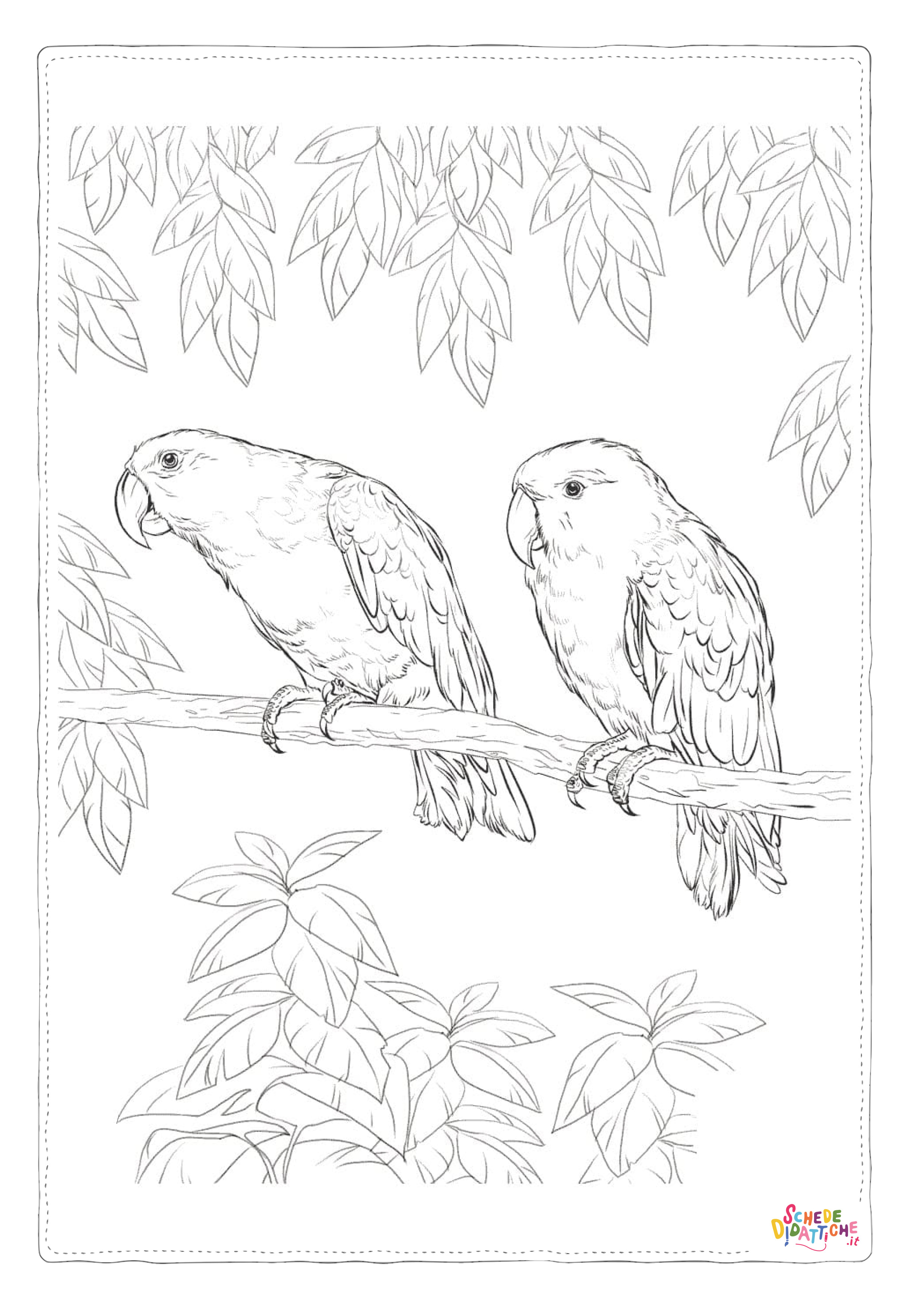Disegno "Disegno di pappagallo da stampare e colorare 59" Disegno di pappagallo da stampare e colorare 59