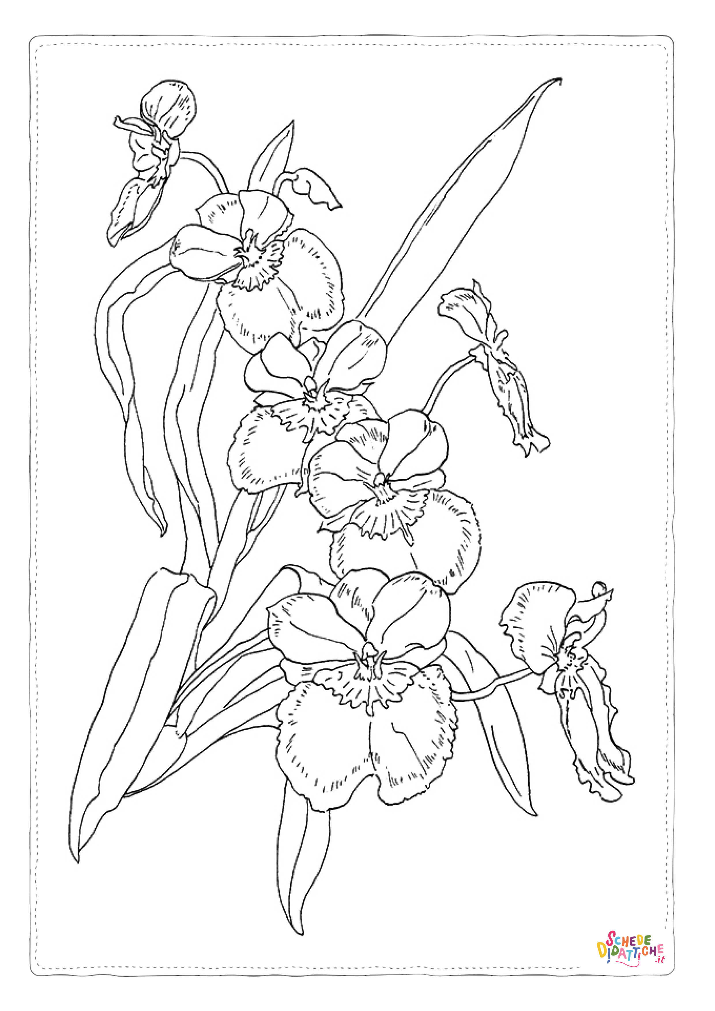 Disegno "Disegno di fiore da stampare e colorare 416" Disegno di fiore da stampare e colorare 416
