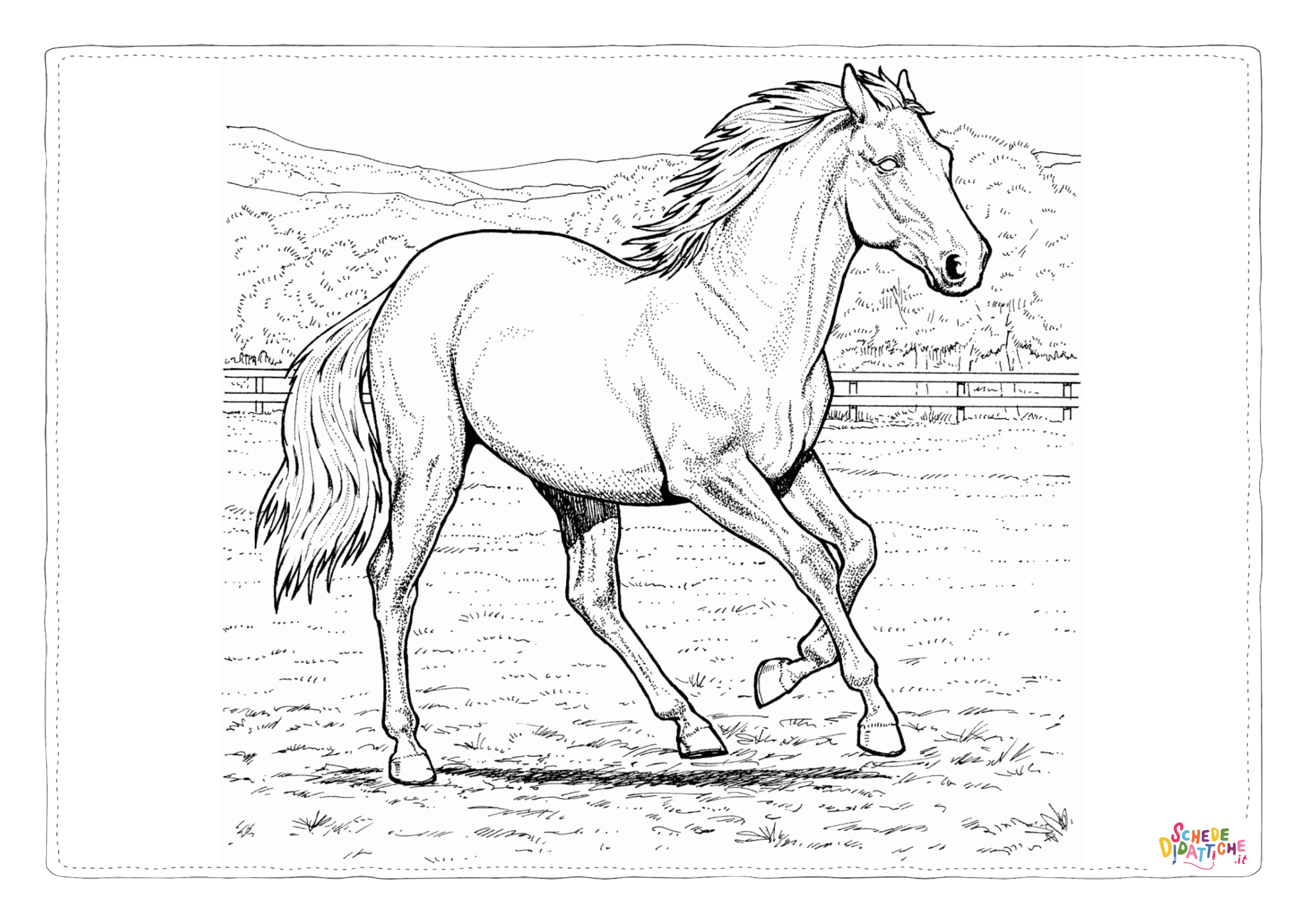 Disegno "Disegno di cavallo da stampare e colorare 58" Disegno di cavallo da stampare e colorare 58