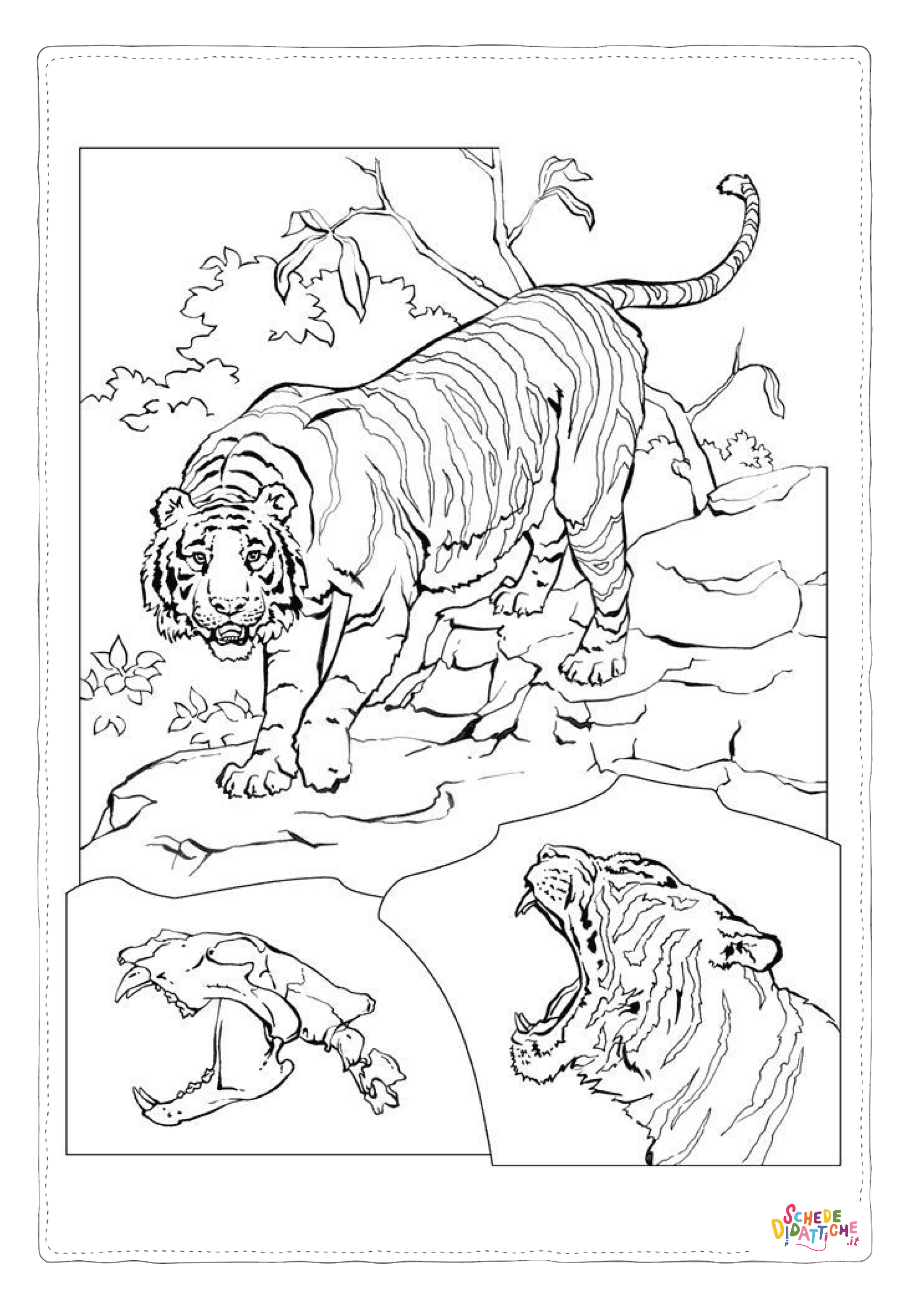 Disegno "Disegno di tigre da stampare e colorare 56" Disegno di tigre da stampare e colorare 56