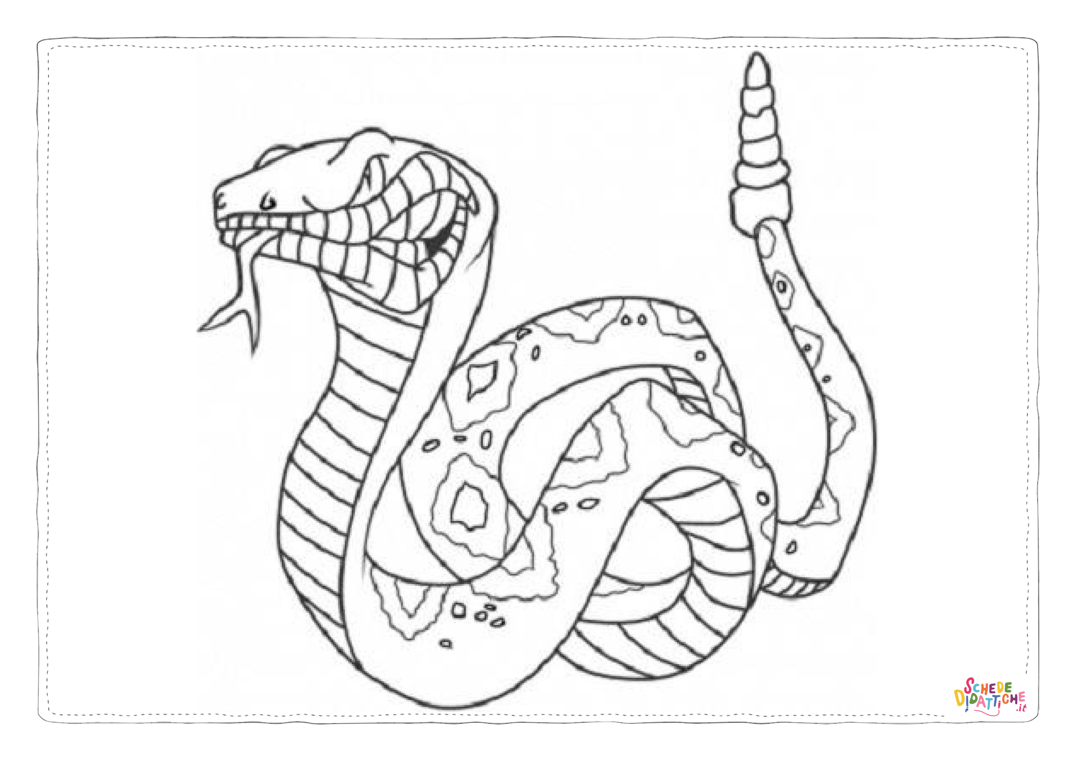 Disegno di serpente da stampare e colorare 19