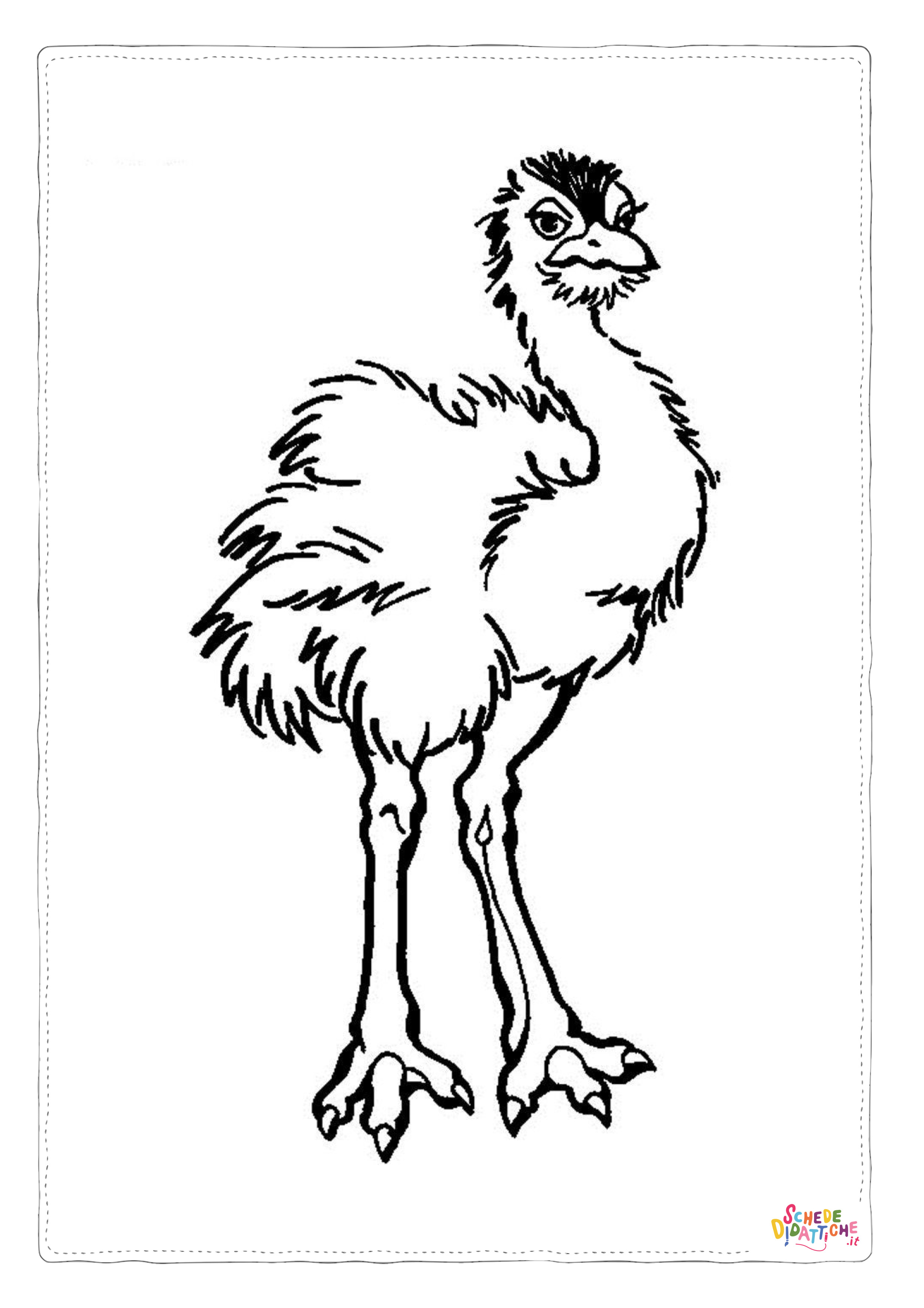Disegno "Disegno di struzzo da stampare e colorare 17" Disegno di struzzo da stampare e colorare 17
