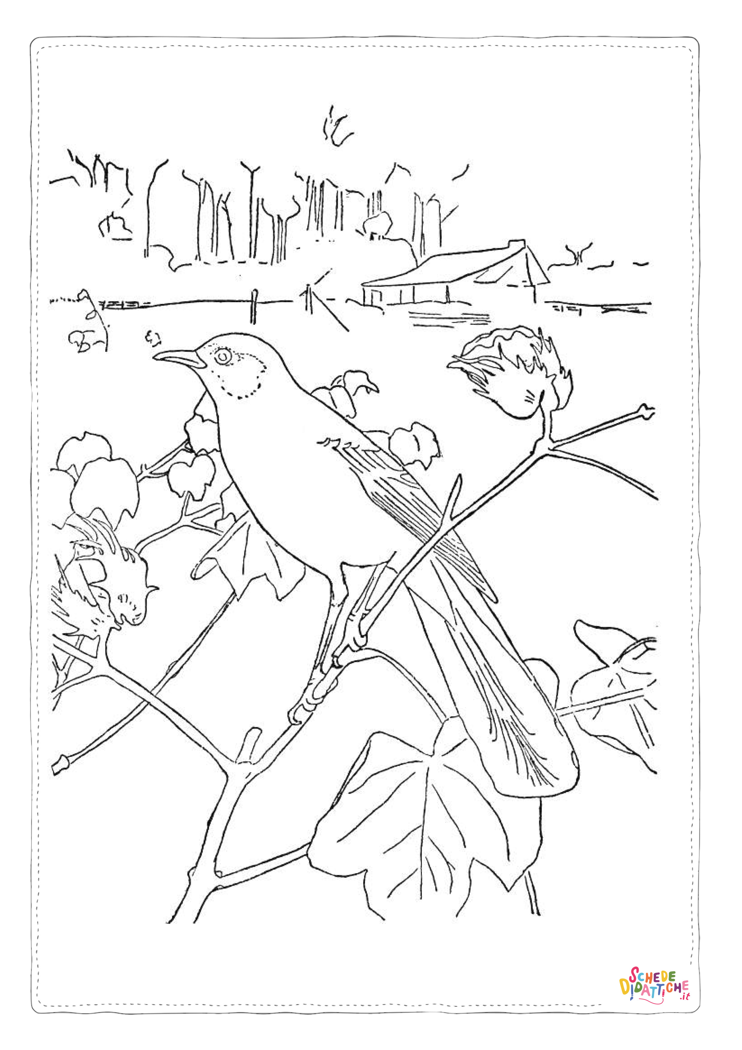Disegno "Disegno di uccello da stampare e colorare 109" Disegno di uccello da stampare e colorare 109