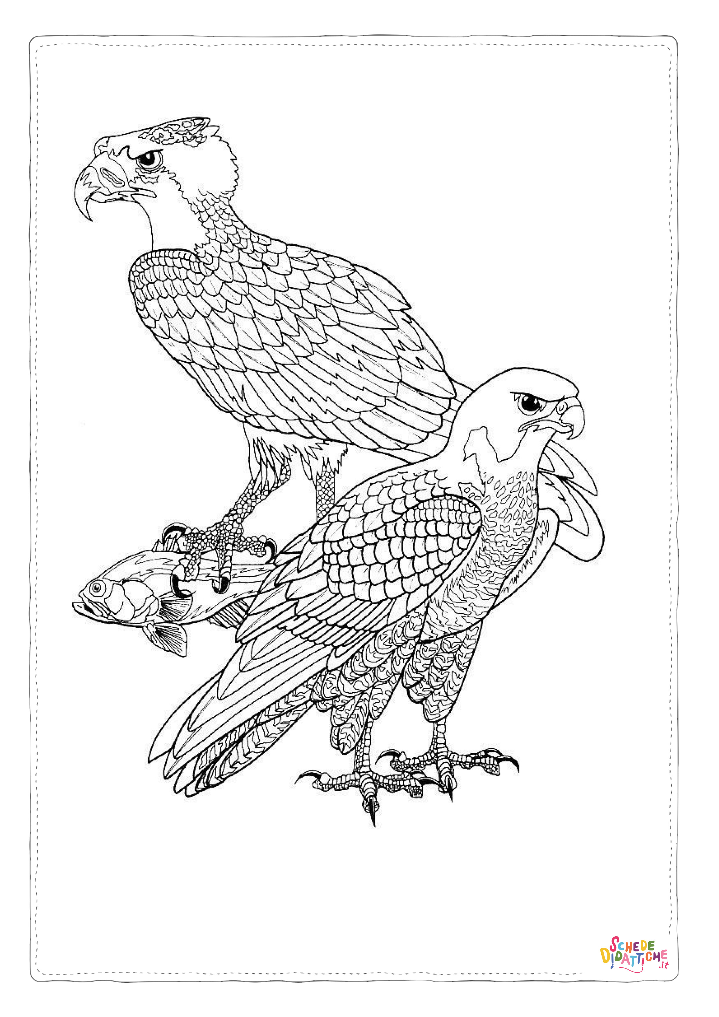 Disegno di falco da stampare e colorare 12