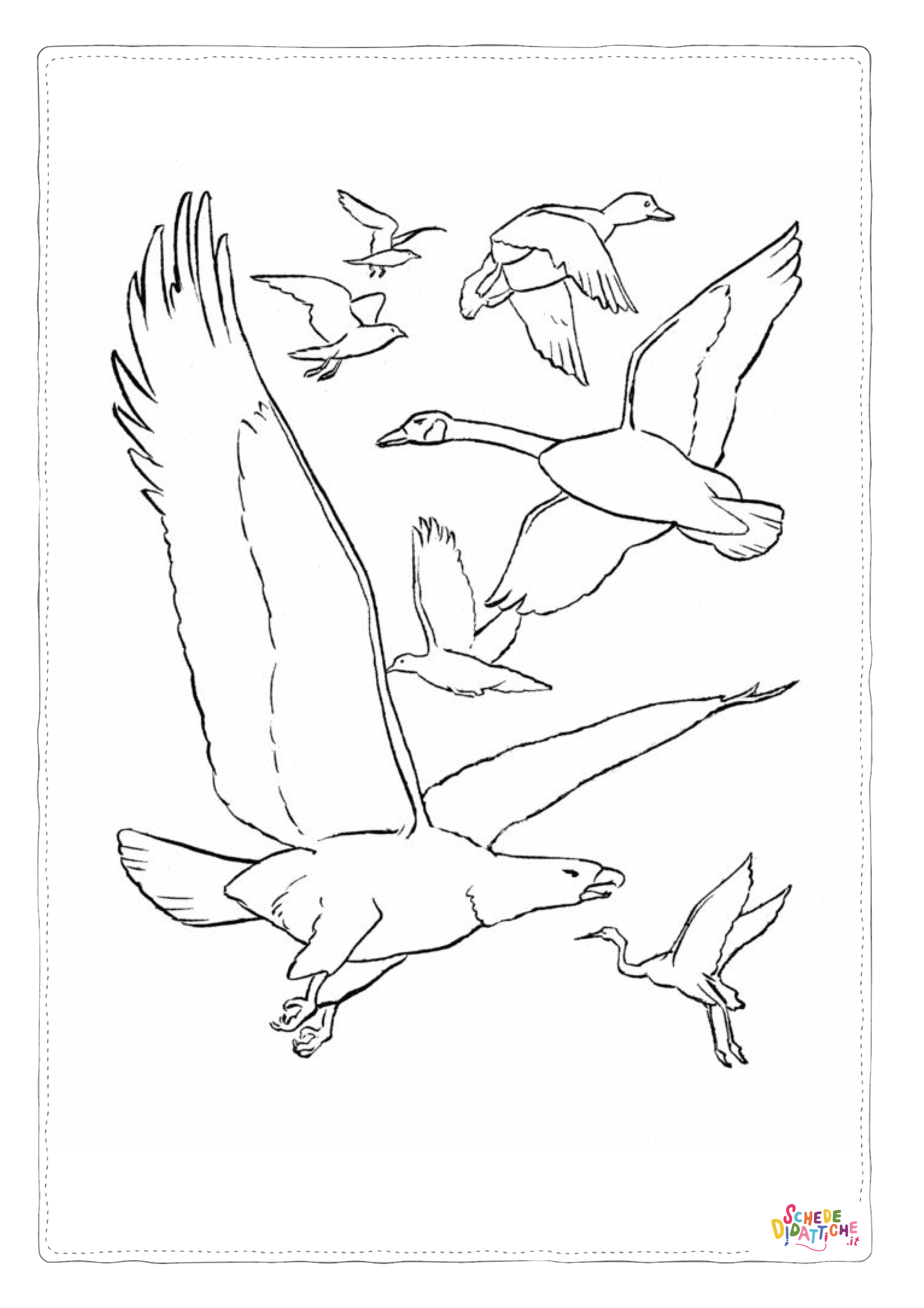 Disegno "Disegno di uccello da stampare e colorare 41" Disegno di uccello da stampare e colorare 41