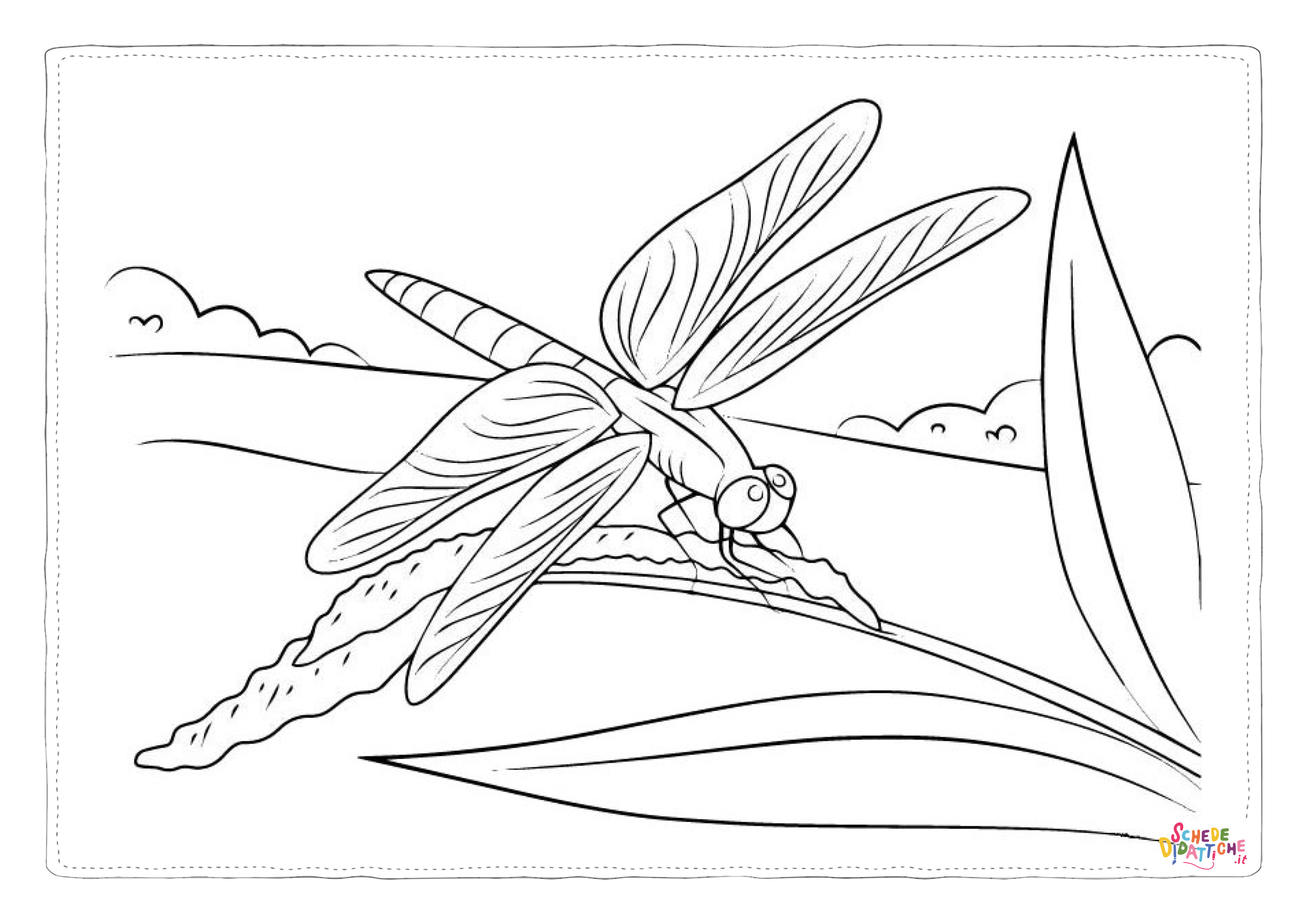Disegno di libellula da stampare e colorare 23