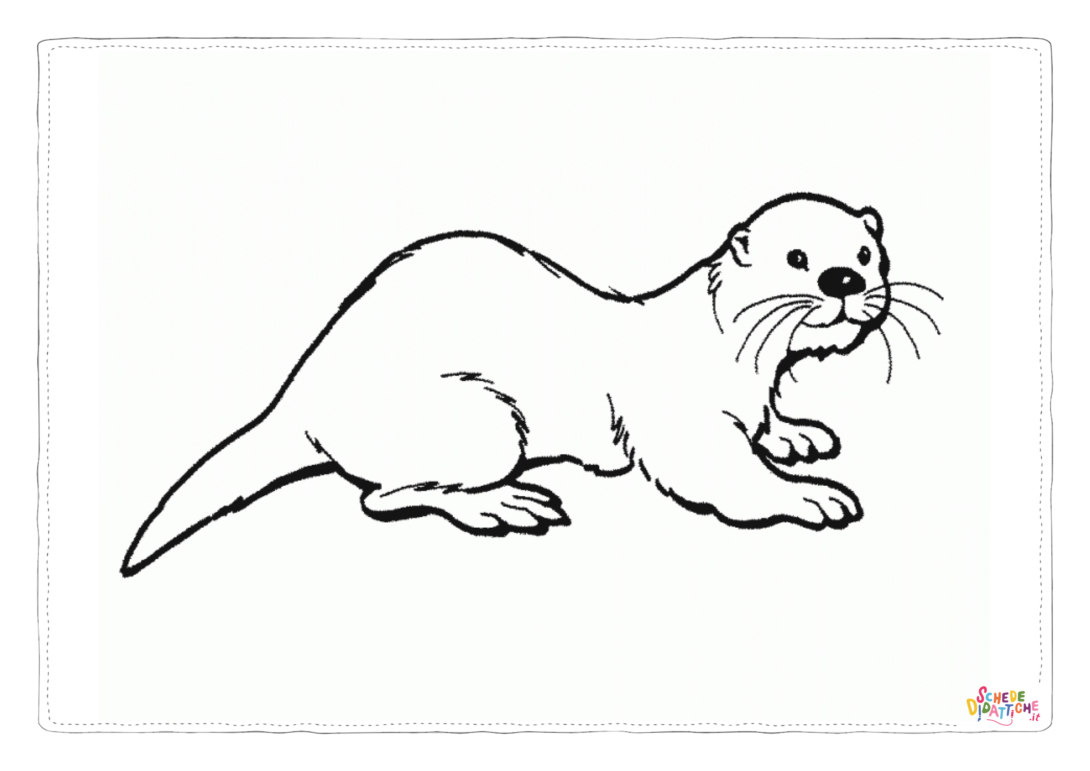 Disegno di lontra da stampare e colorare 15