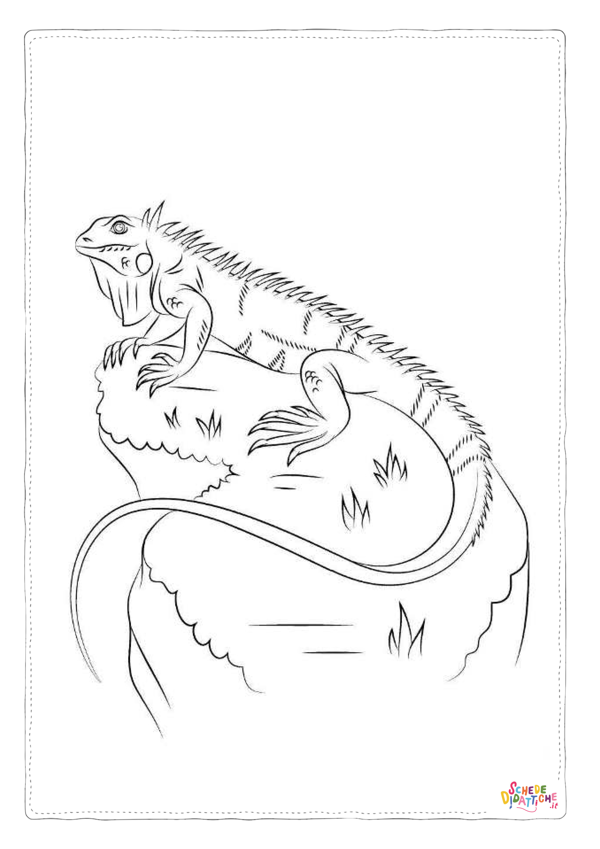 Disegno di iguana da stampare e colorare 10