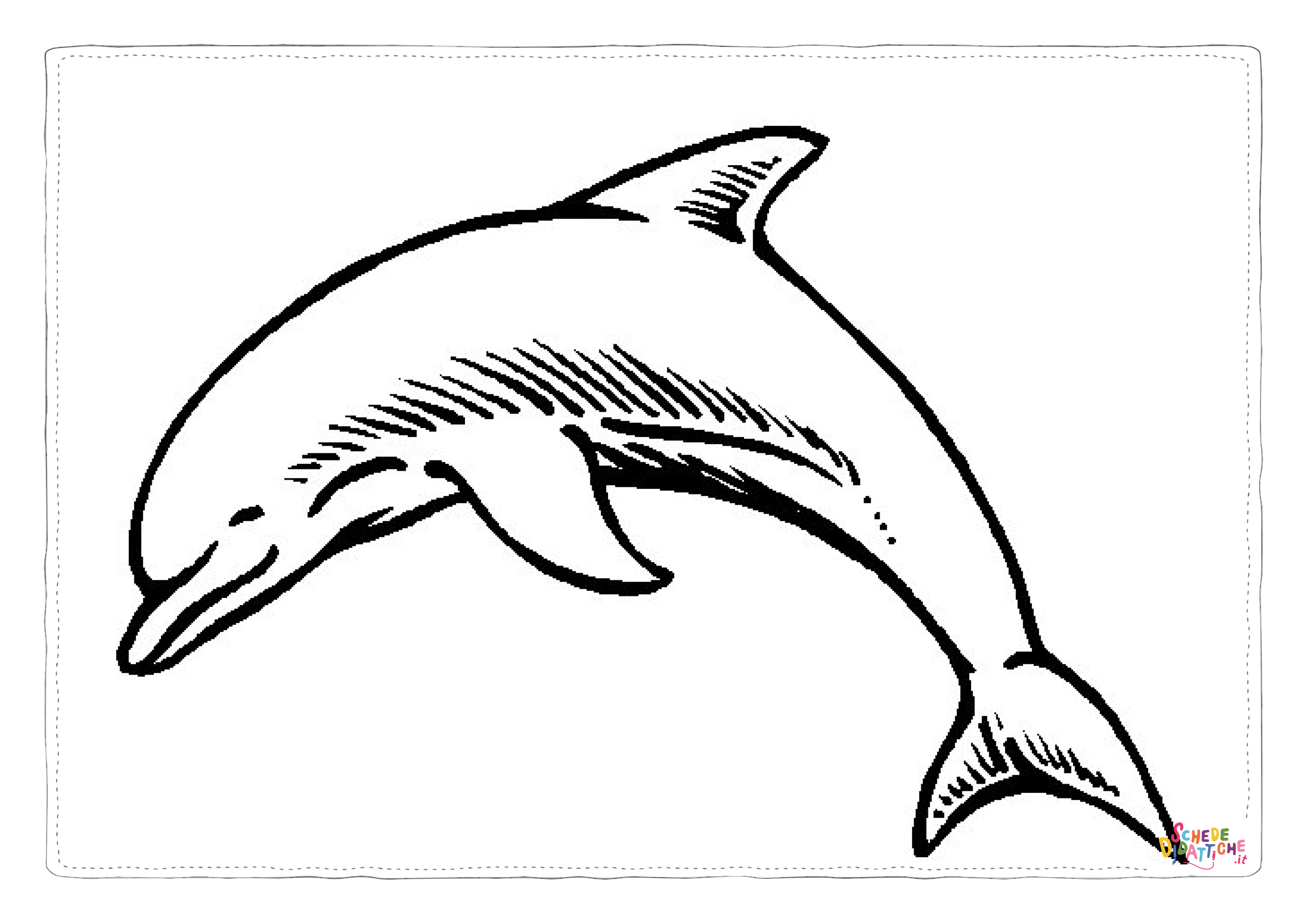 Disegno "Disegno di delfino da stampare e colorare 49" Disegno di delfino da stampare e colorare 49
