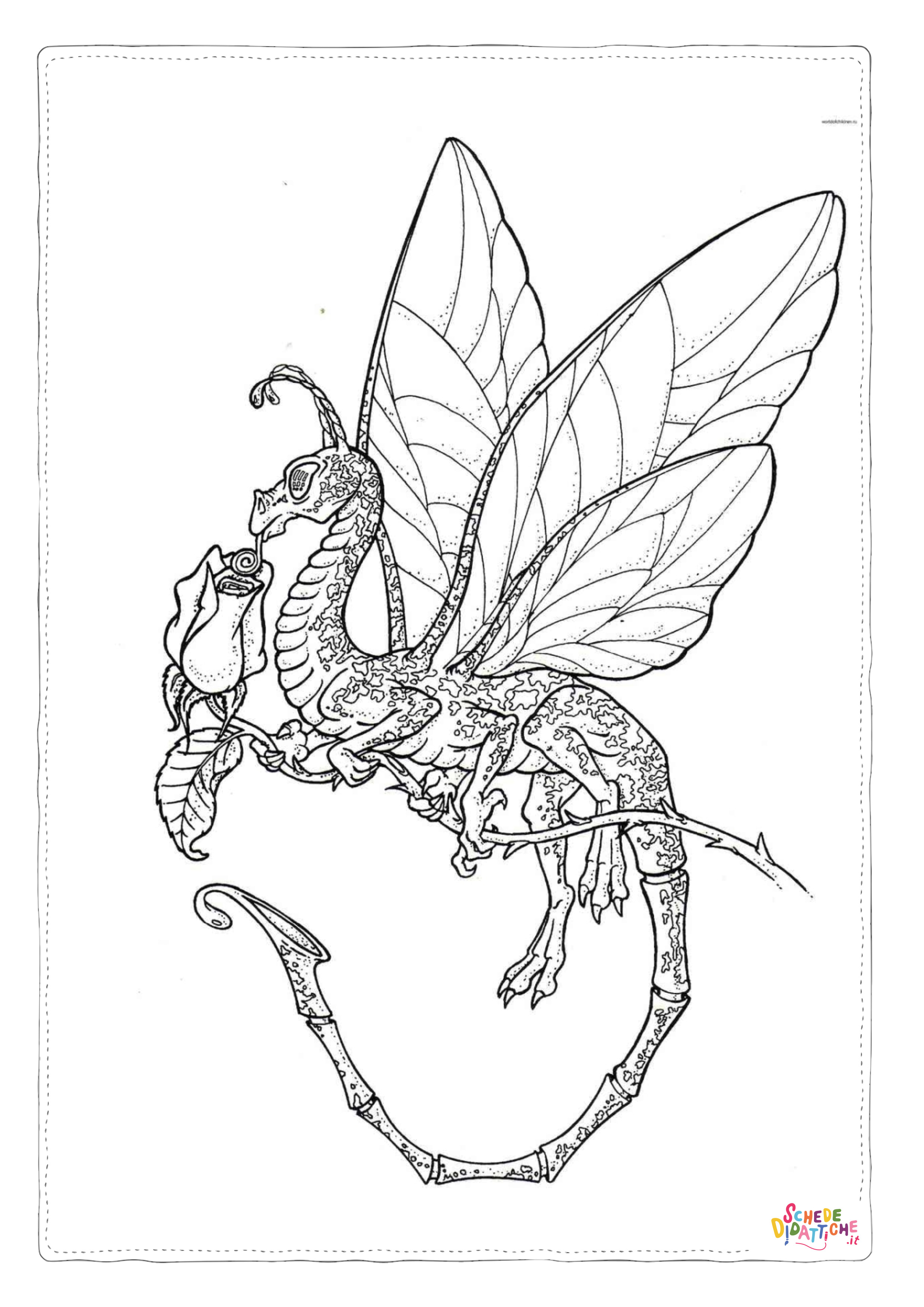 Disegno "Disegno di dragone da stampare e colorare 172" Disegno di dragone da stampare e colorare 172
