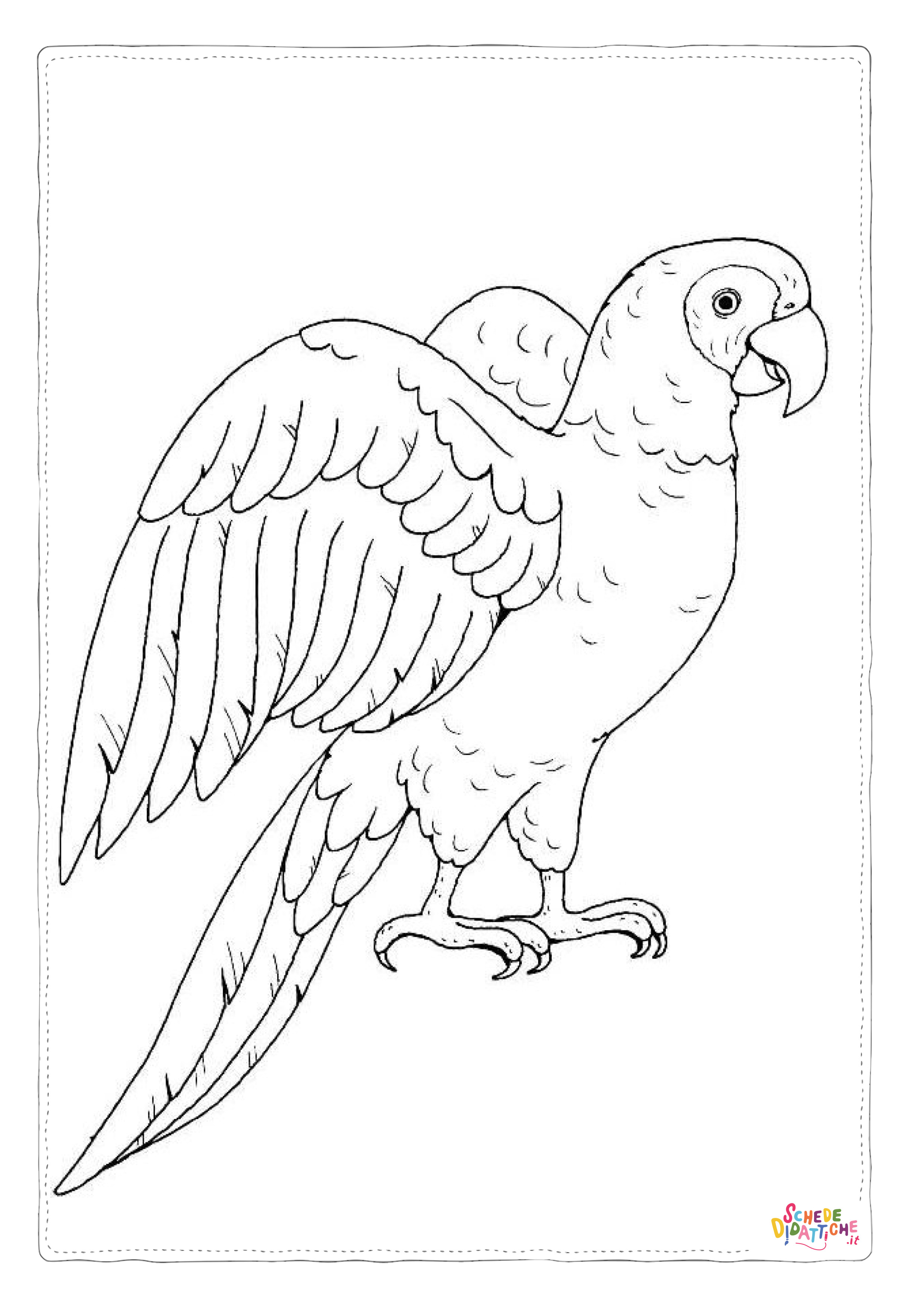 Disegno "Disegno di pappagallo da stampare e colorare 15" Disegno di pappagallo da stampare e colorare 15