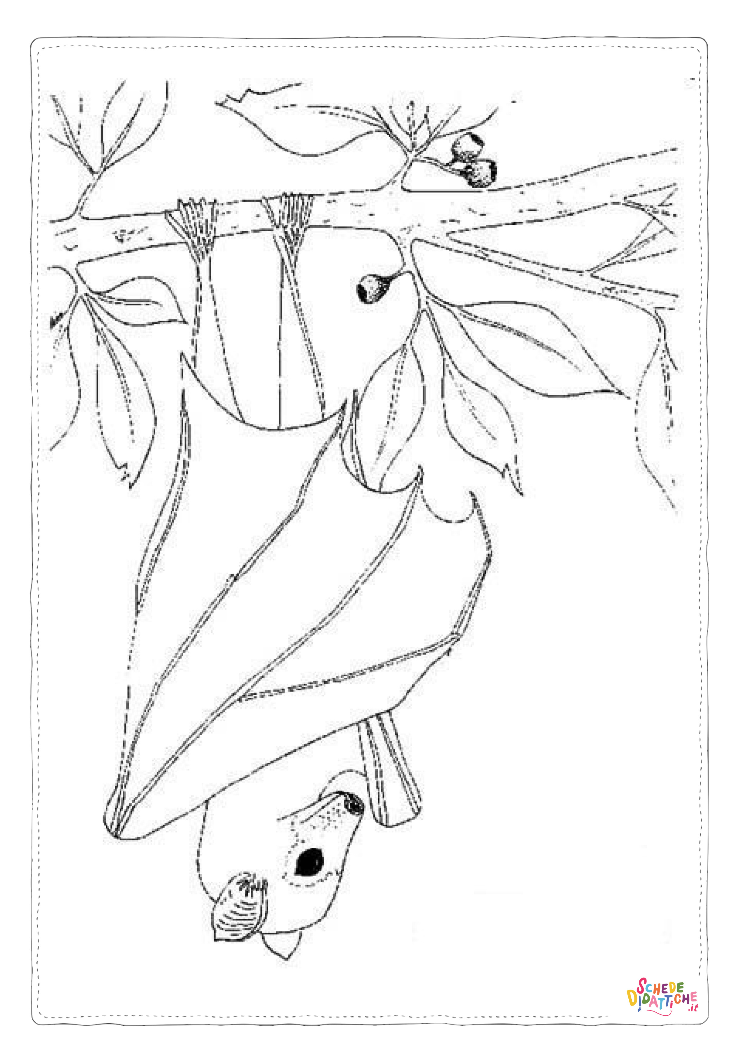 Disegno di pipistrello da stampare e colorare 29