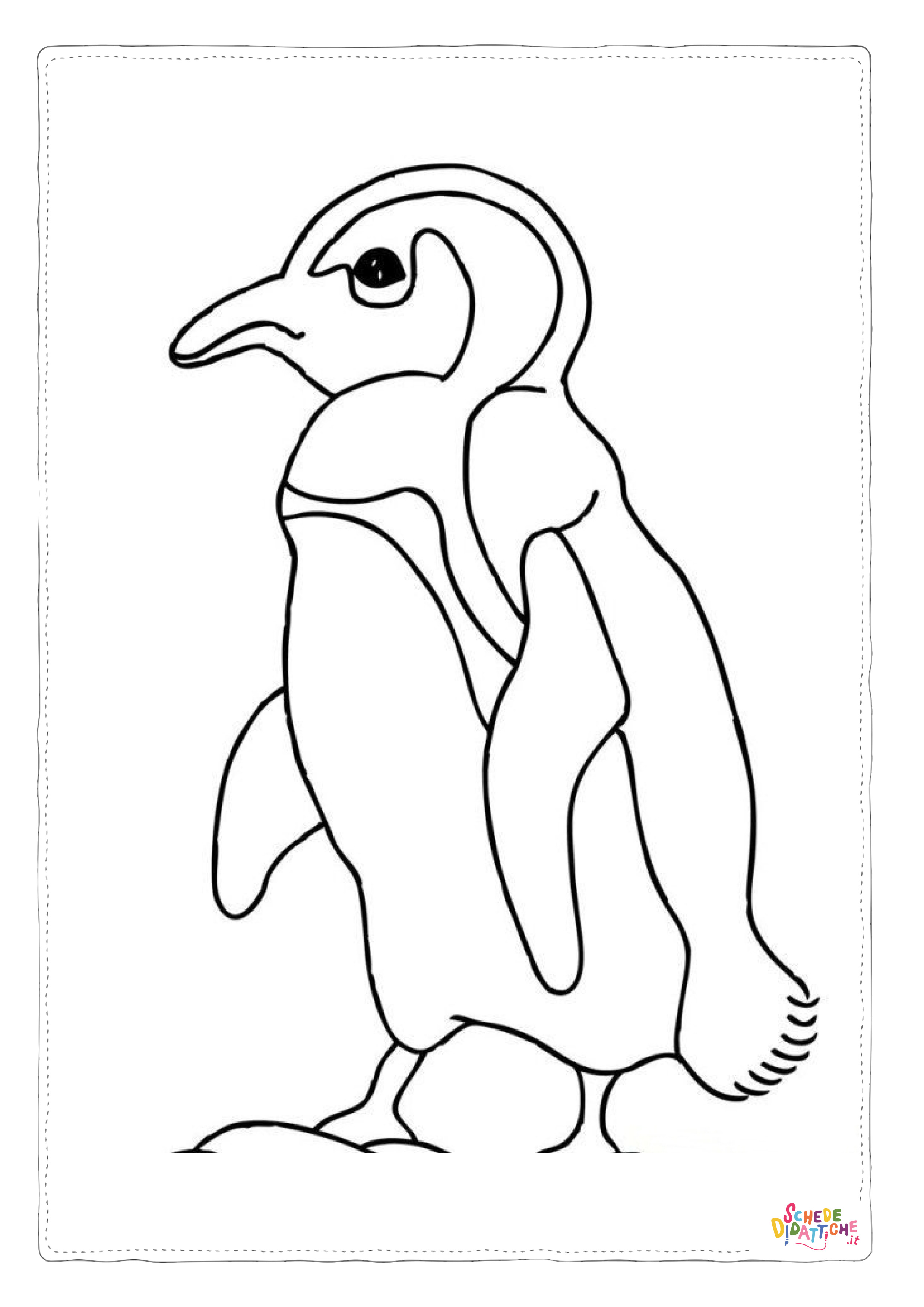 Disegno di pinguino da stampare e colorare 56