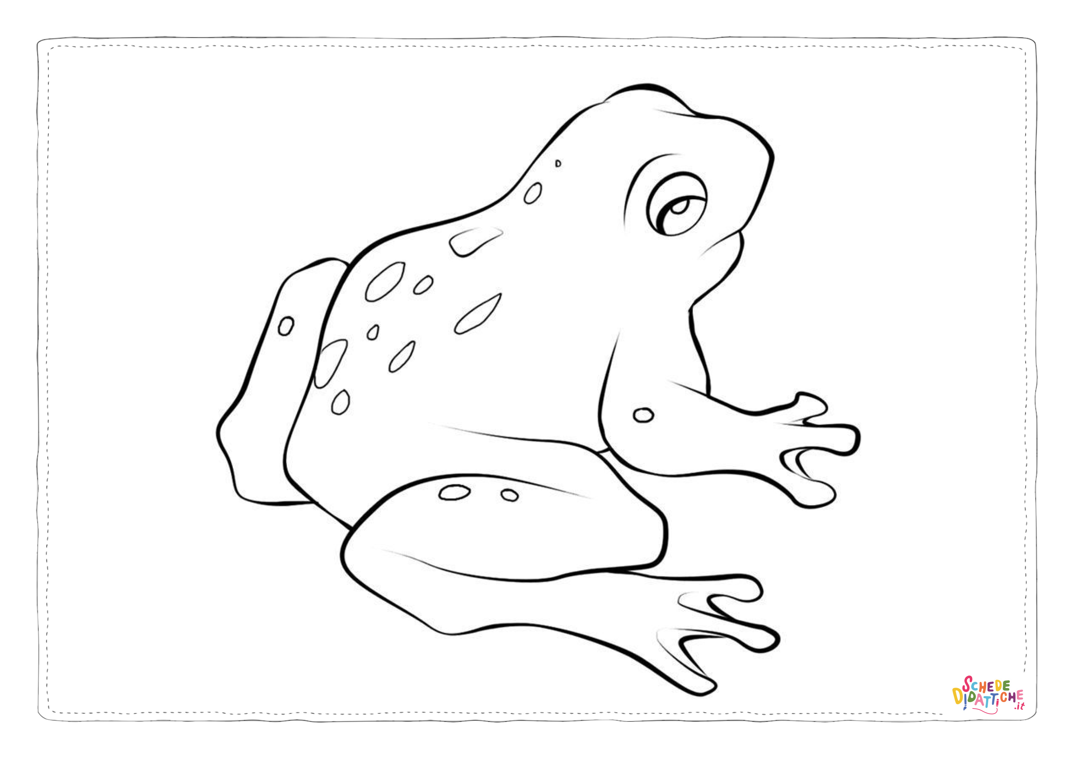 Disegno di rana da stampare e colorare 111