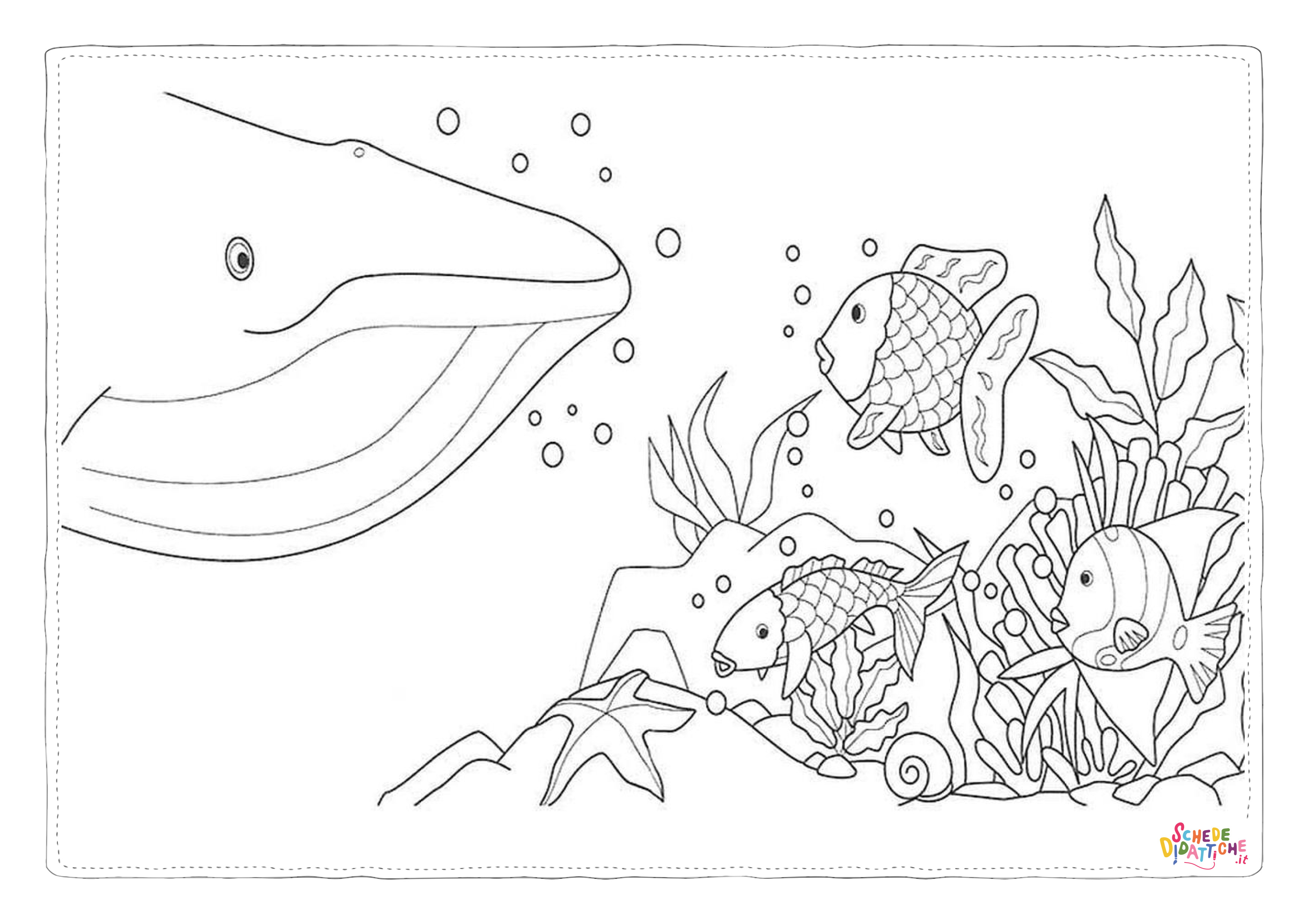 Disegno "Disegno di balena da stampare e colorare 24" Disegno di balena da stampare e colorare 24