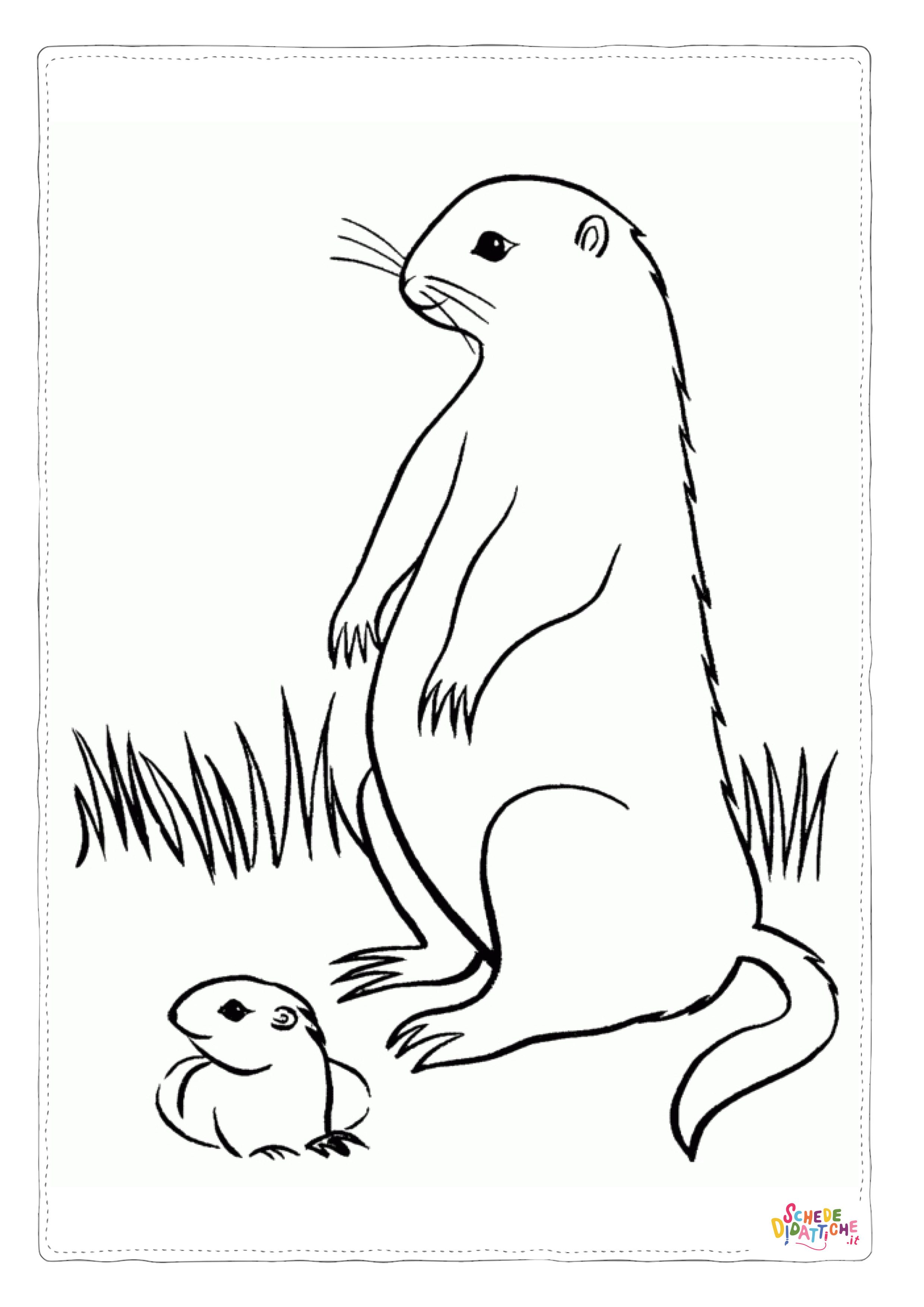 Disegno di lontra da stampare e colorare 14
