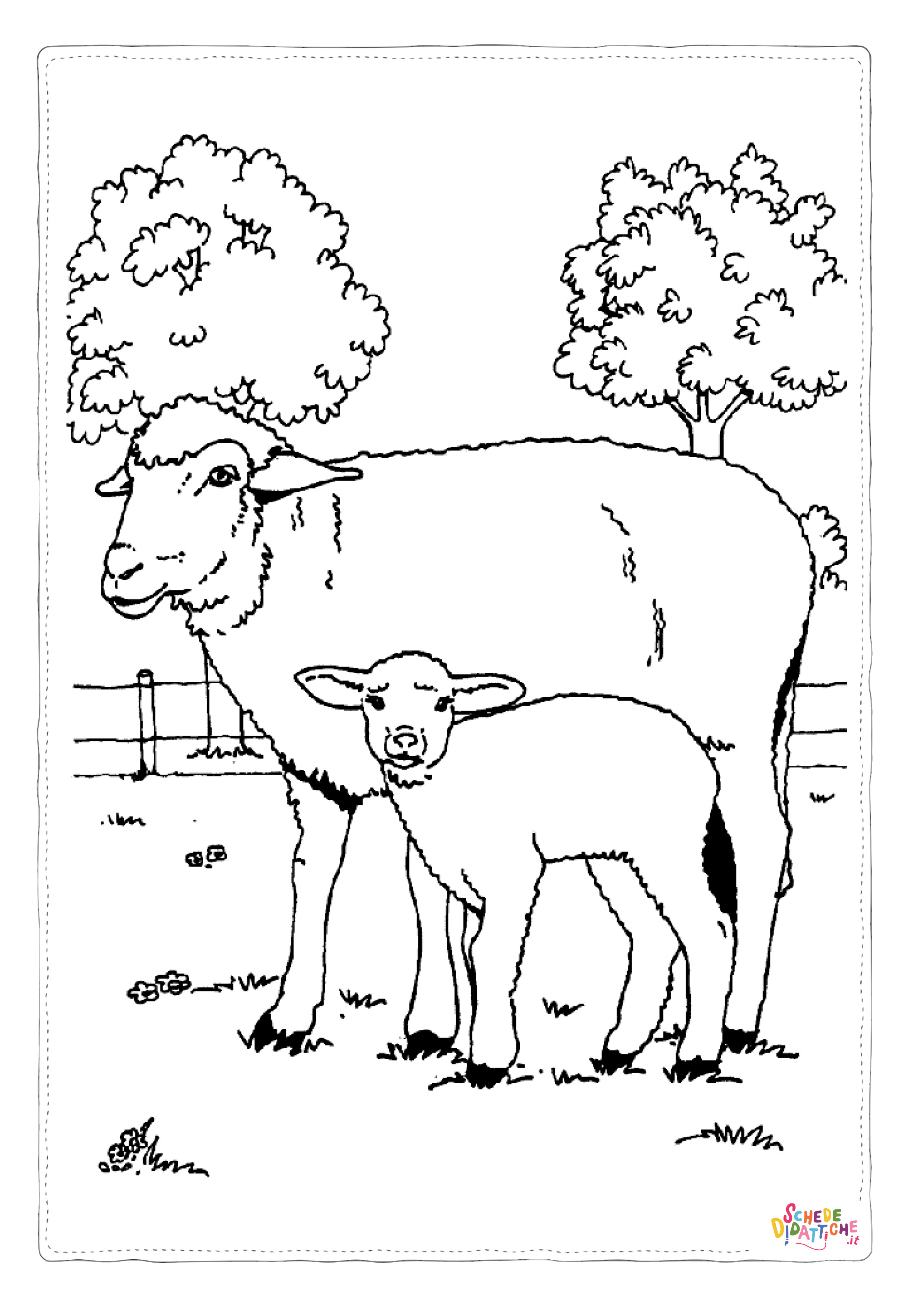 Disegno di pecora da stampare e colorare 33