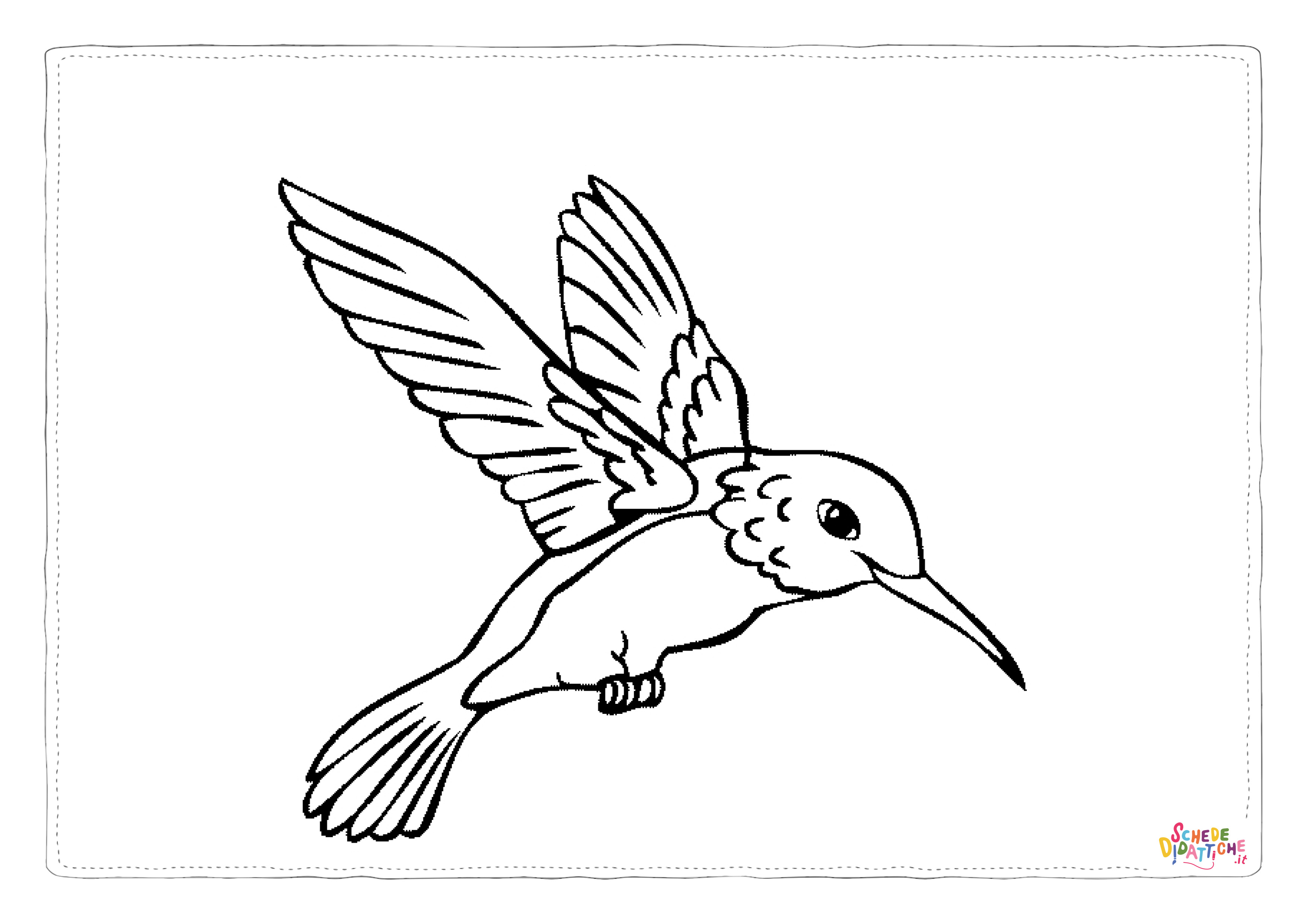 Disegno di colibr da stampare e colorare 1