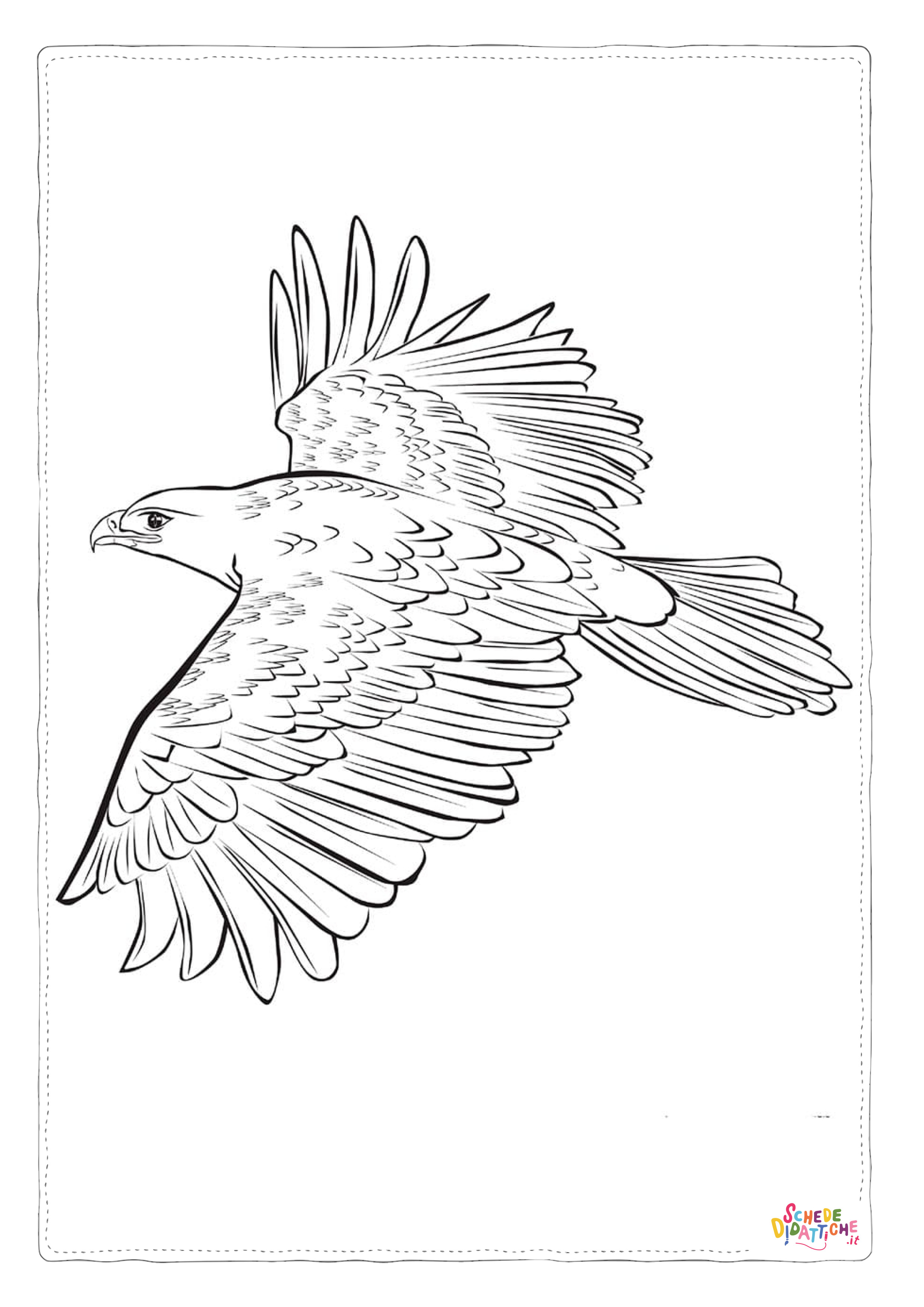 Disegno di aquila da stampare e colorare 31