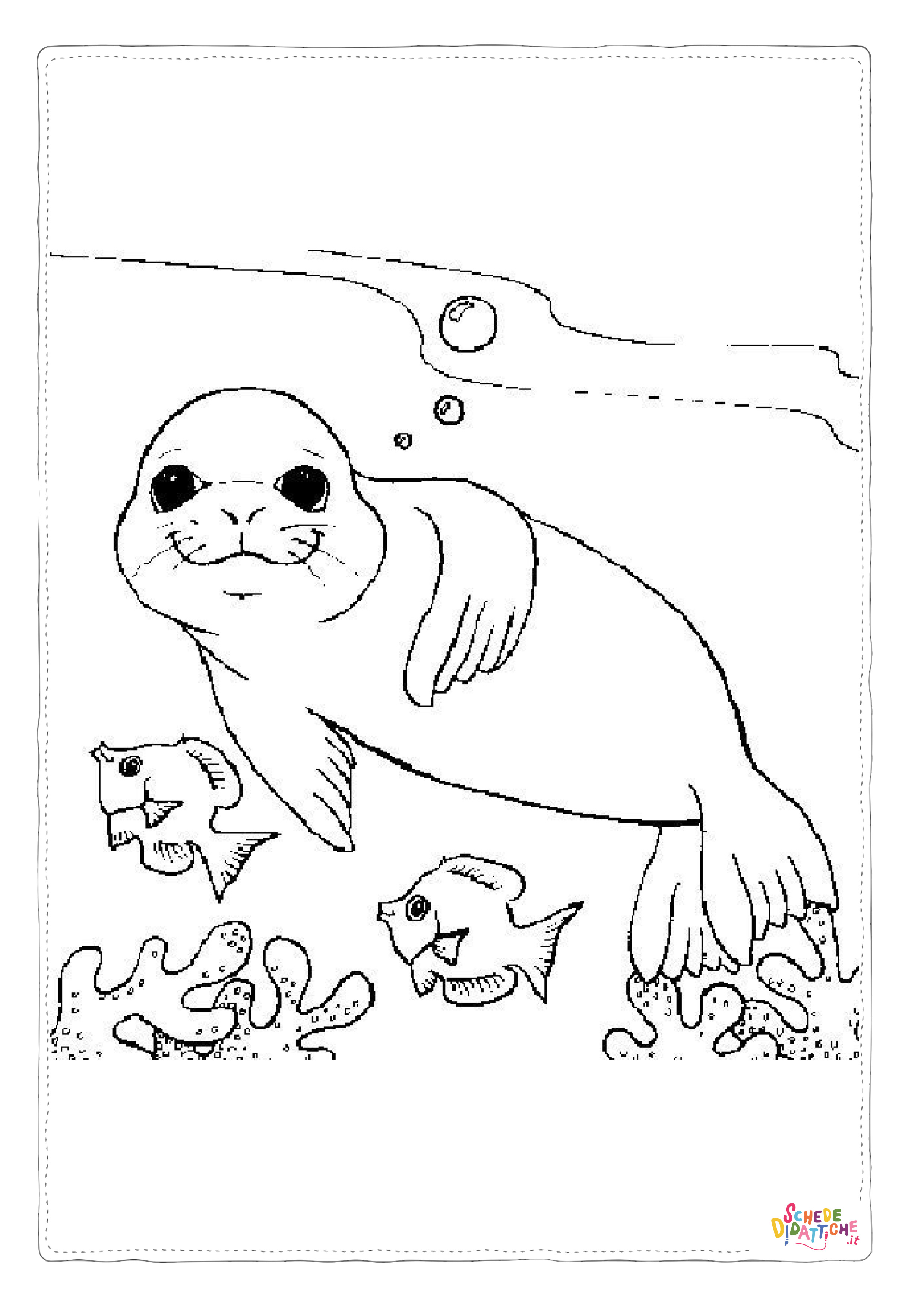 Disegno "Disegno di foca da stampare e colorare 11" Disegno di foca da stampare e colorare 11