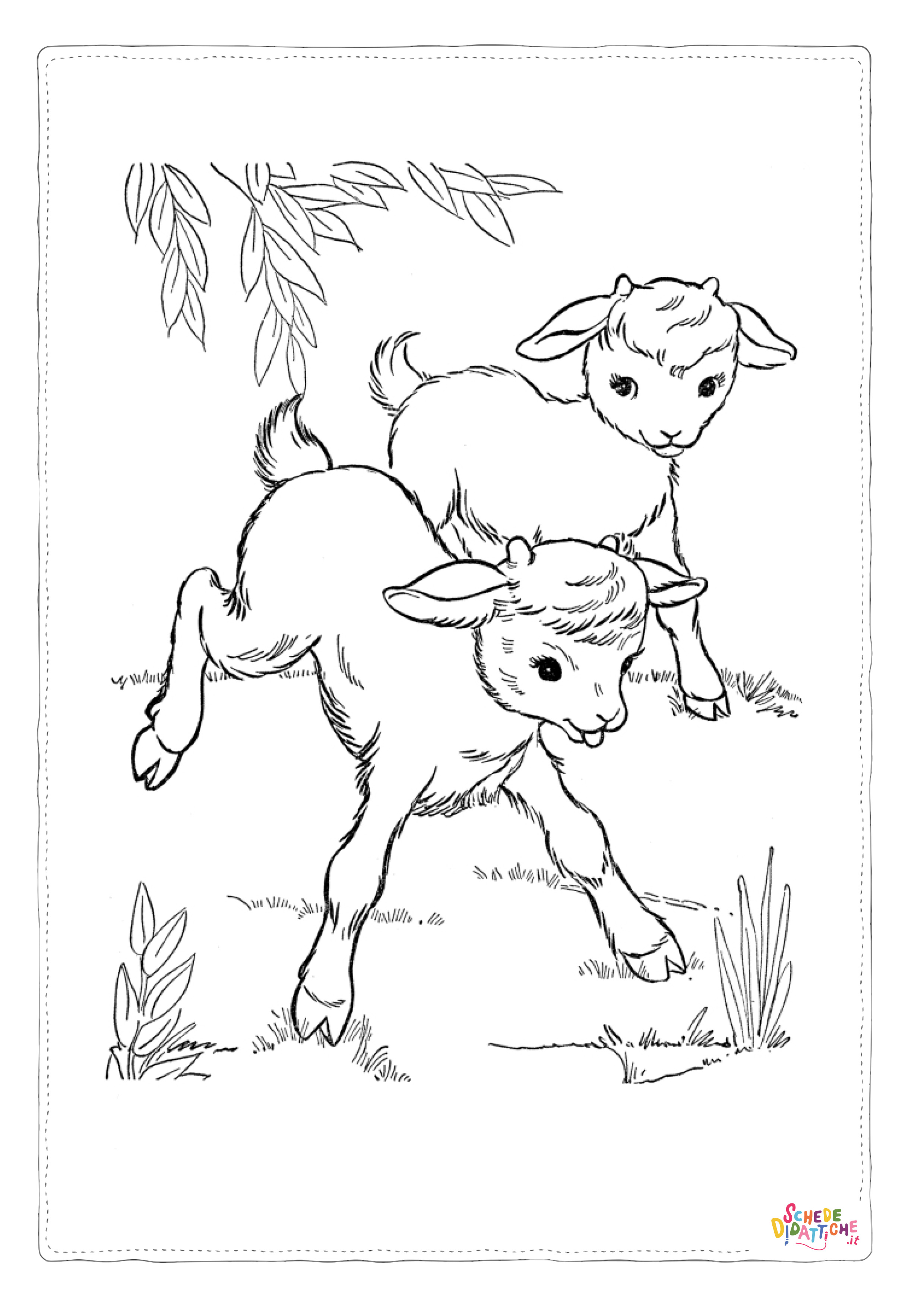 Disegno "Disegno di pecora da stampare e colorare 50" Disegno di pecora da stampare e colorare 50