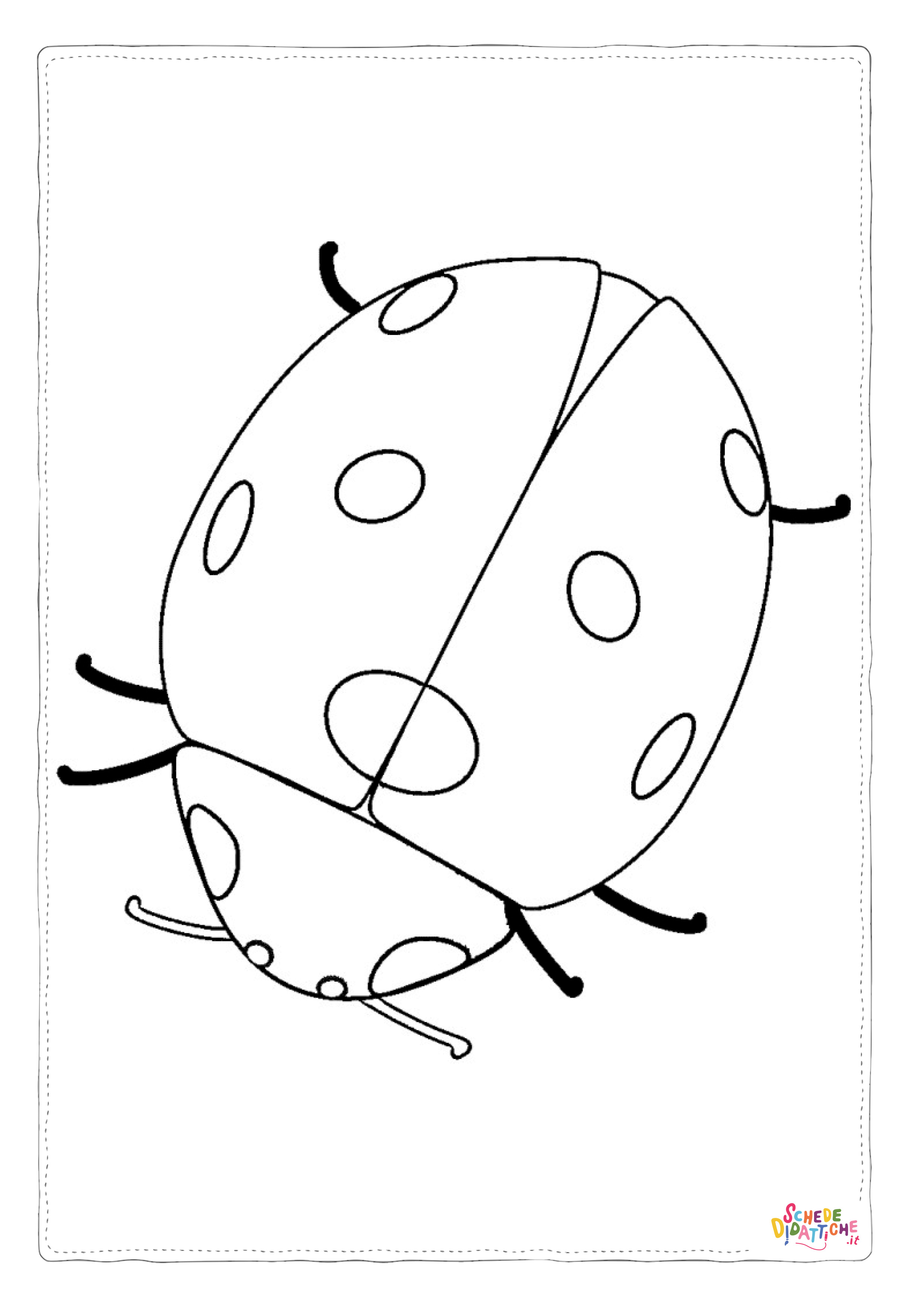Disegno "Disegno di coccinella da stampare e colorare 7" Disegno di coccinella da stampare e colorare 7