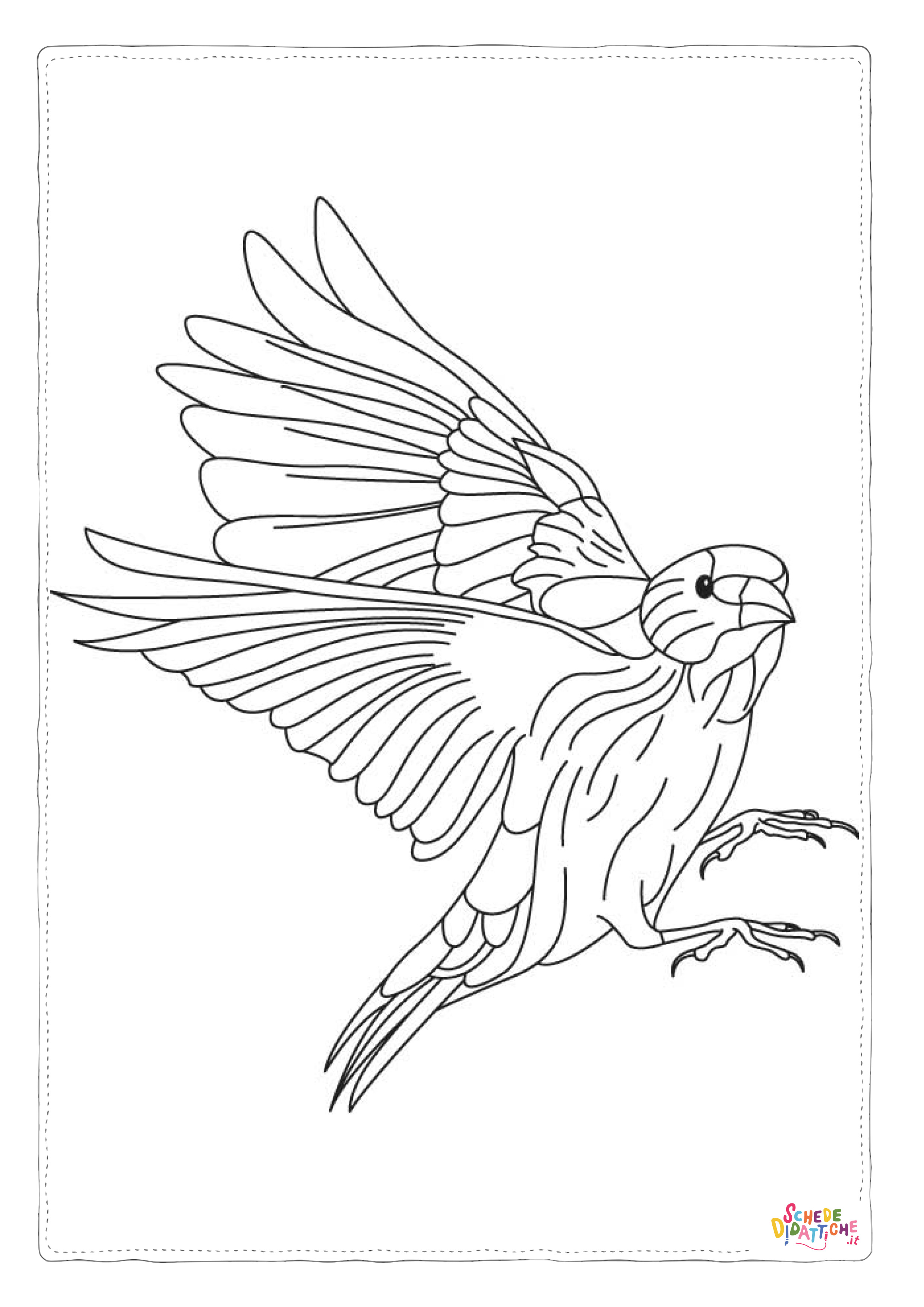 Disegno di falco da stampare e colorare 20