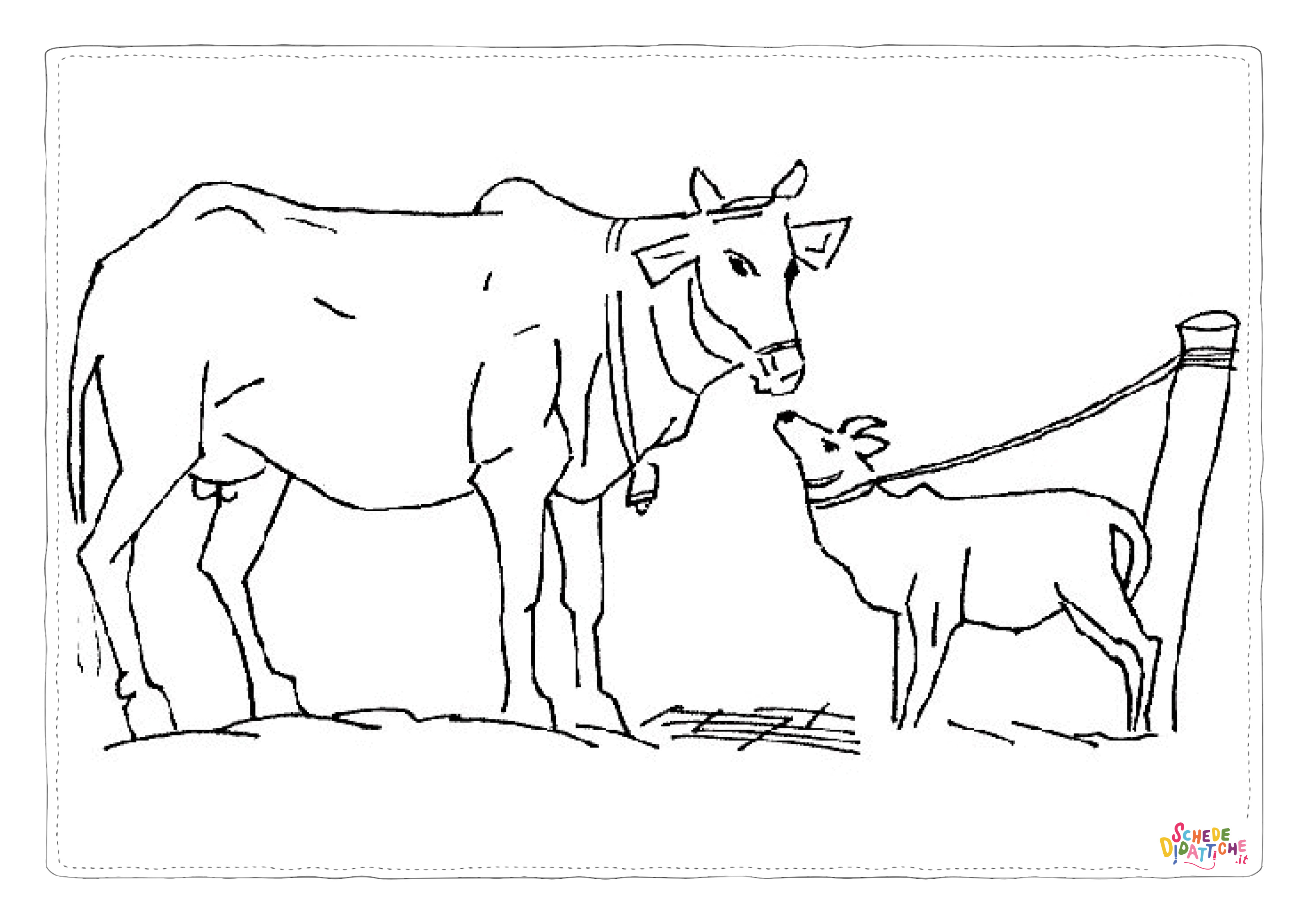 Disegno di mucca da stampare e colorare 15
