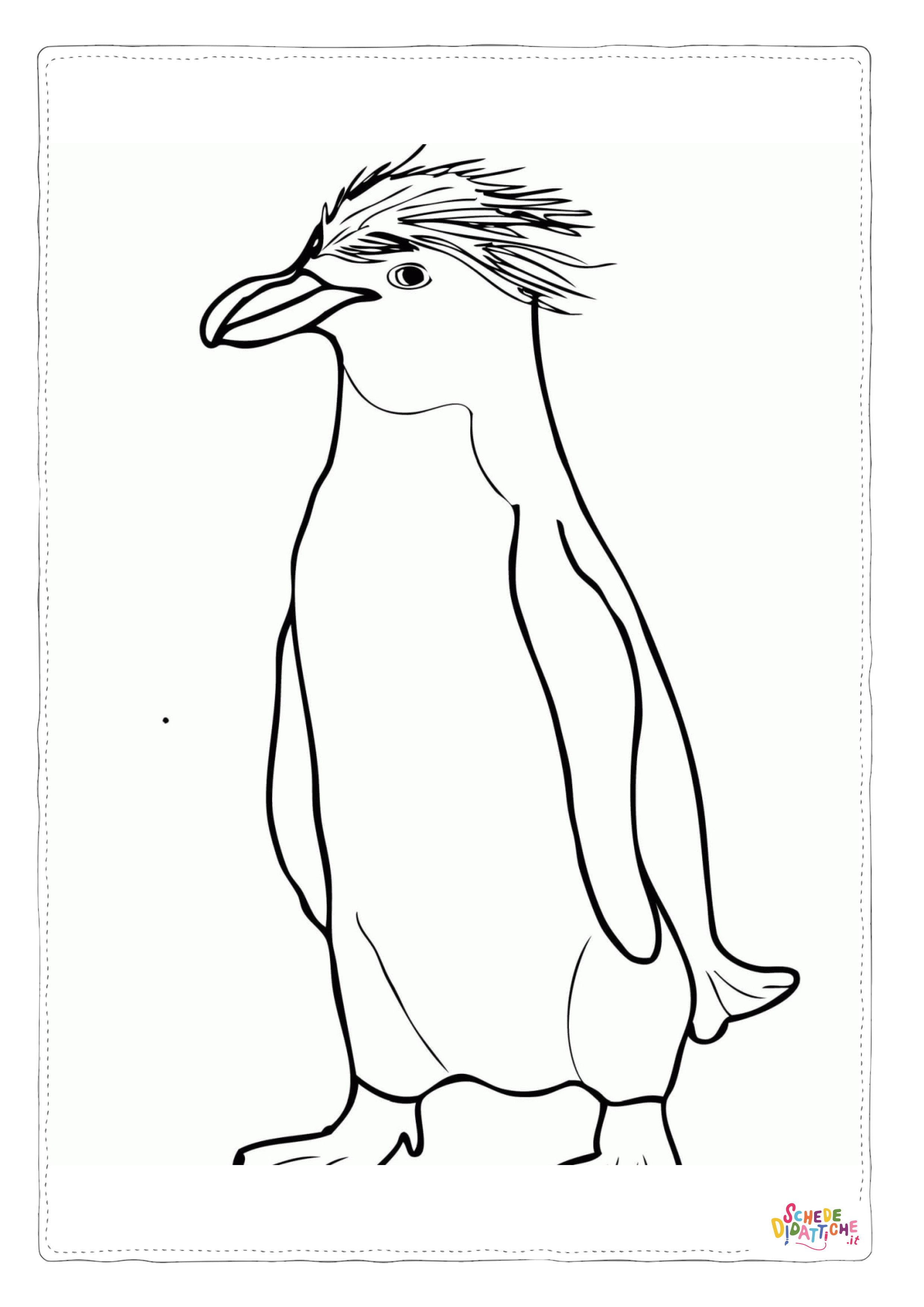Disegno di pinguino da stampare e colorare 52