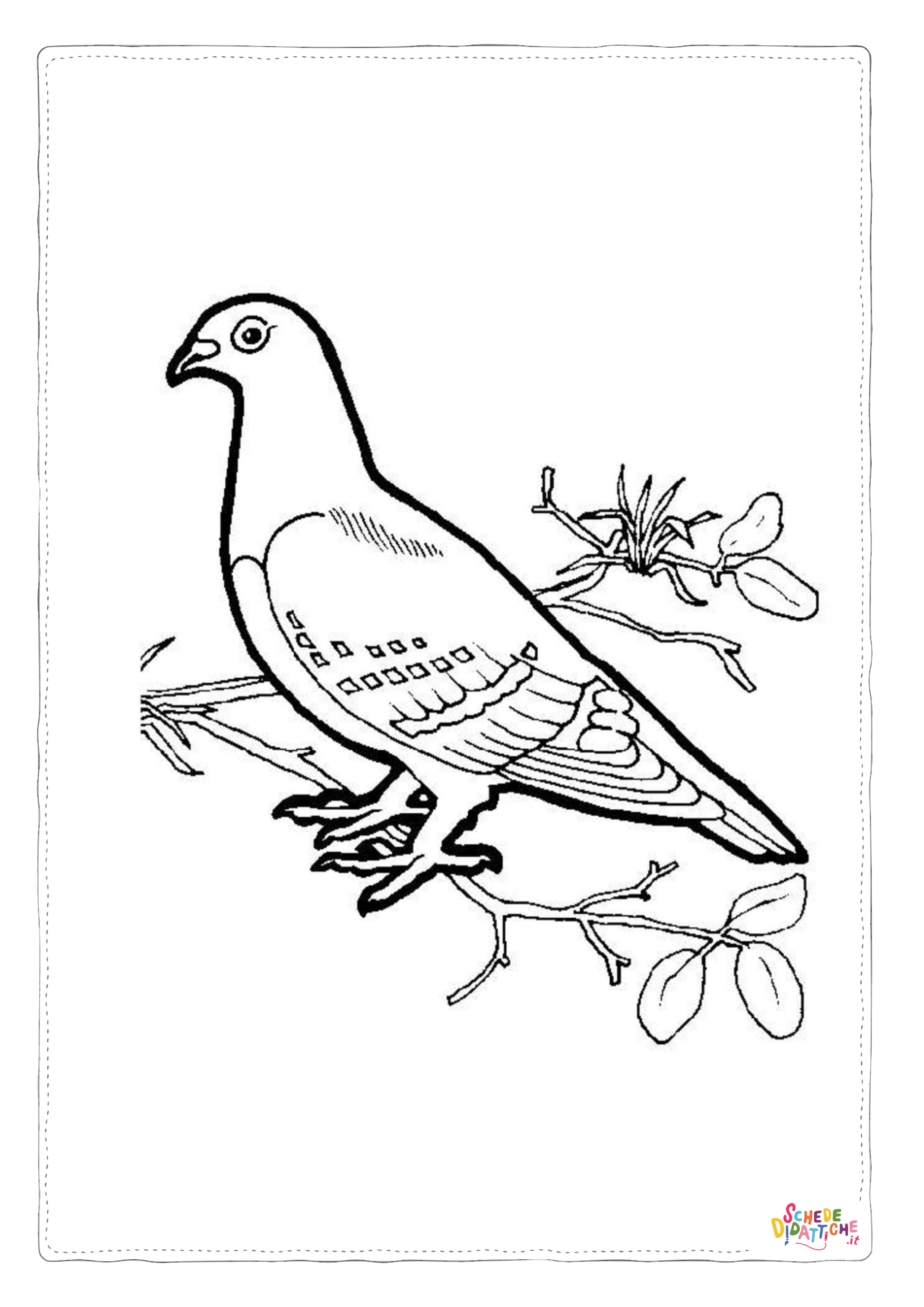 Disegno di colomba da stampare e colorare 8