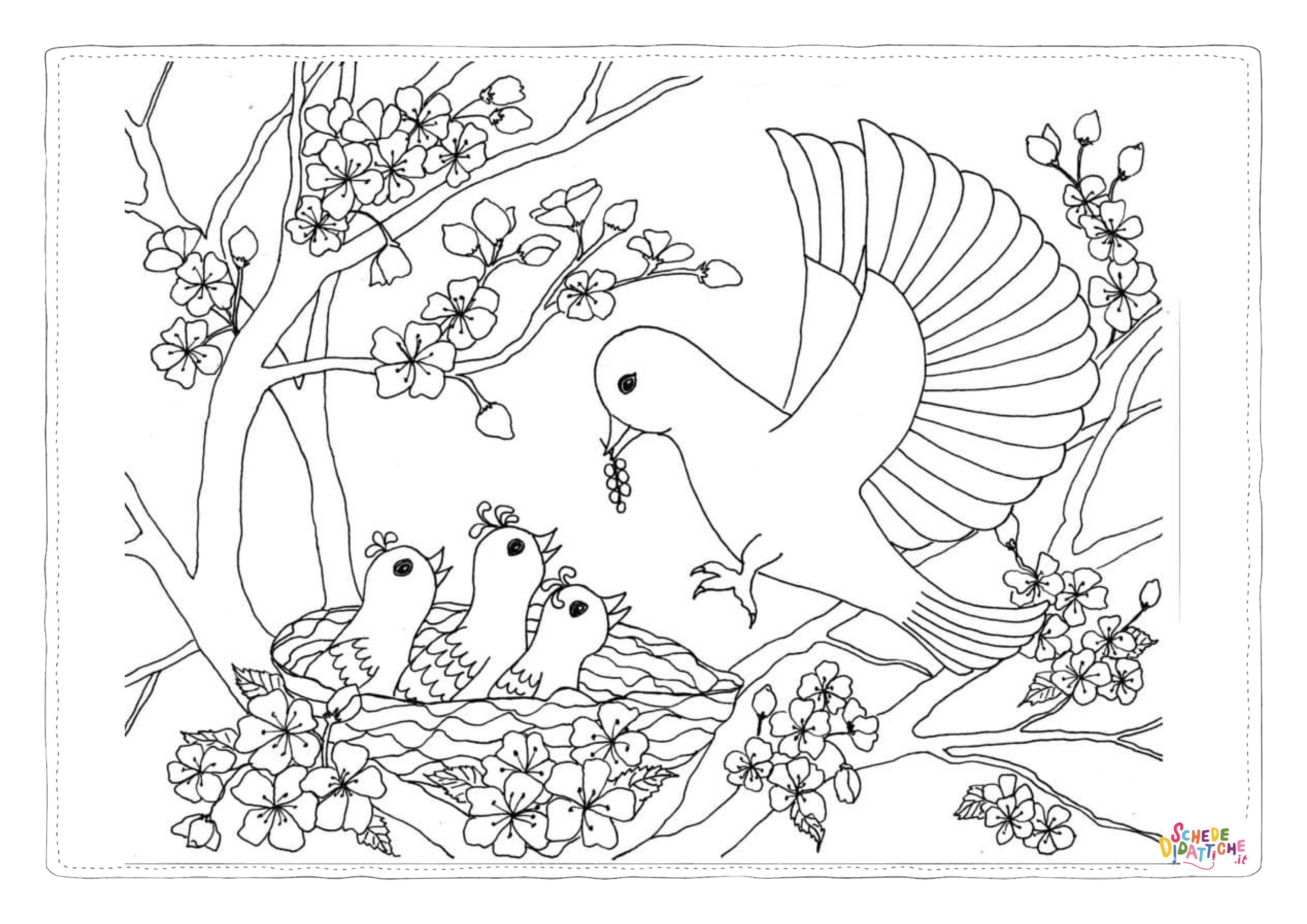 Disegno di colomba da stampare e colorare 31