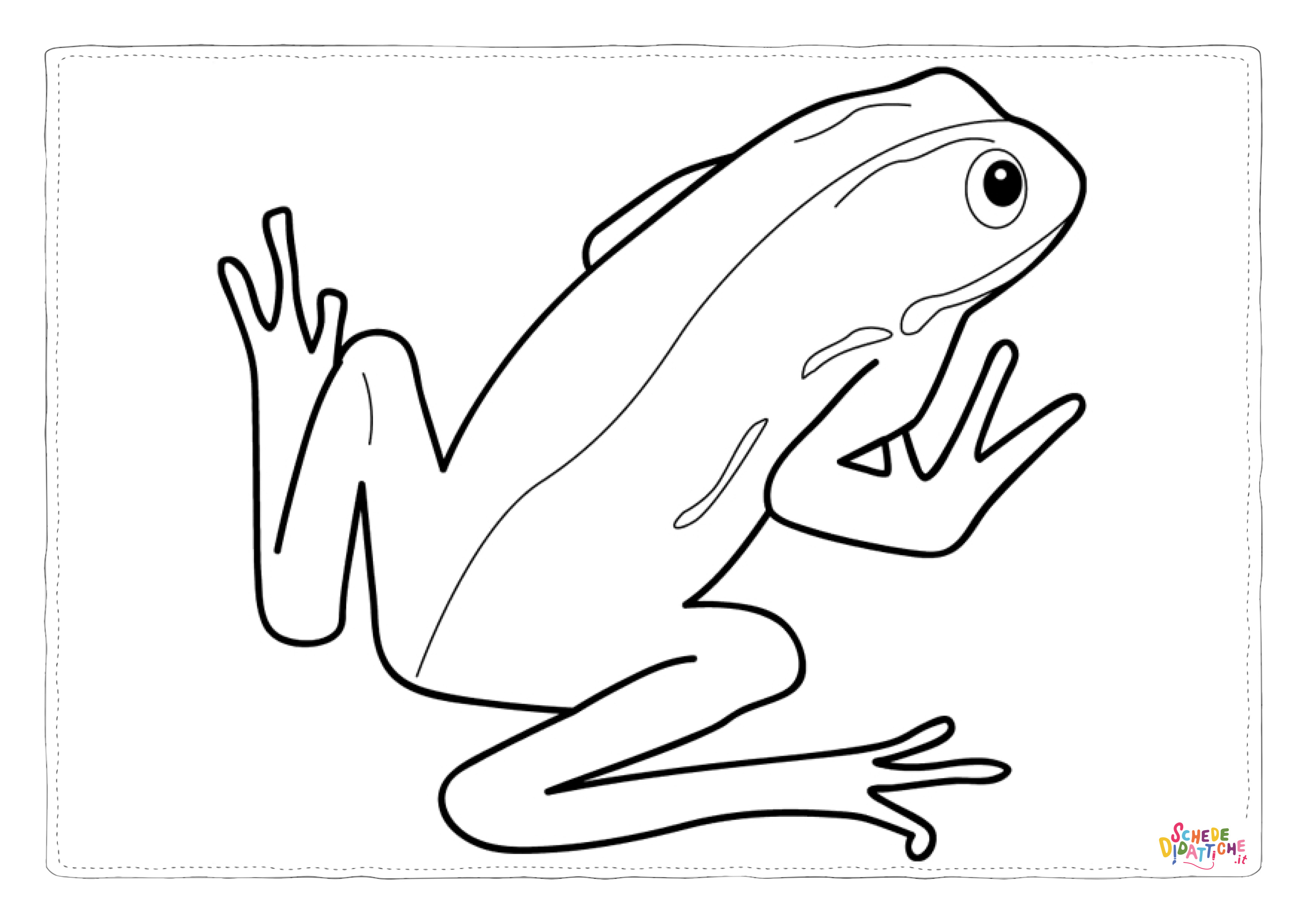 Disegno "Disegno di rana da stampare e colorare 2" Disegno di rana da stampare e colorare 2