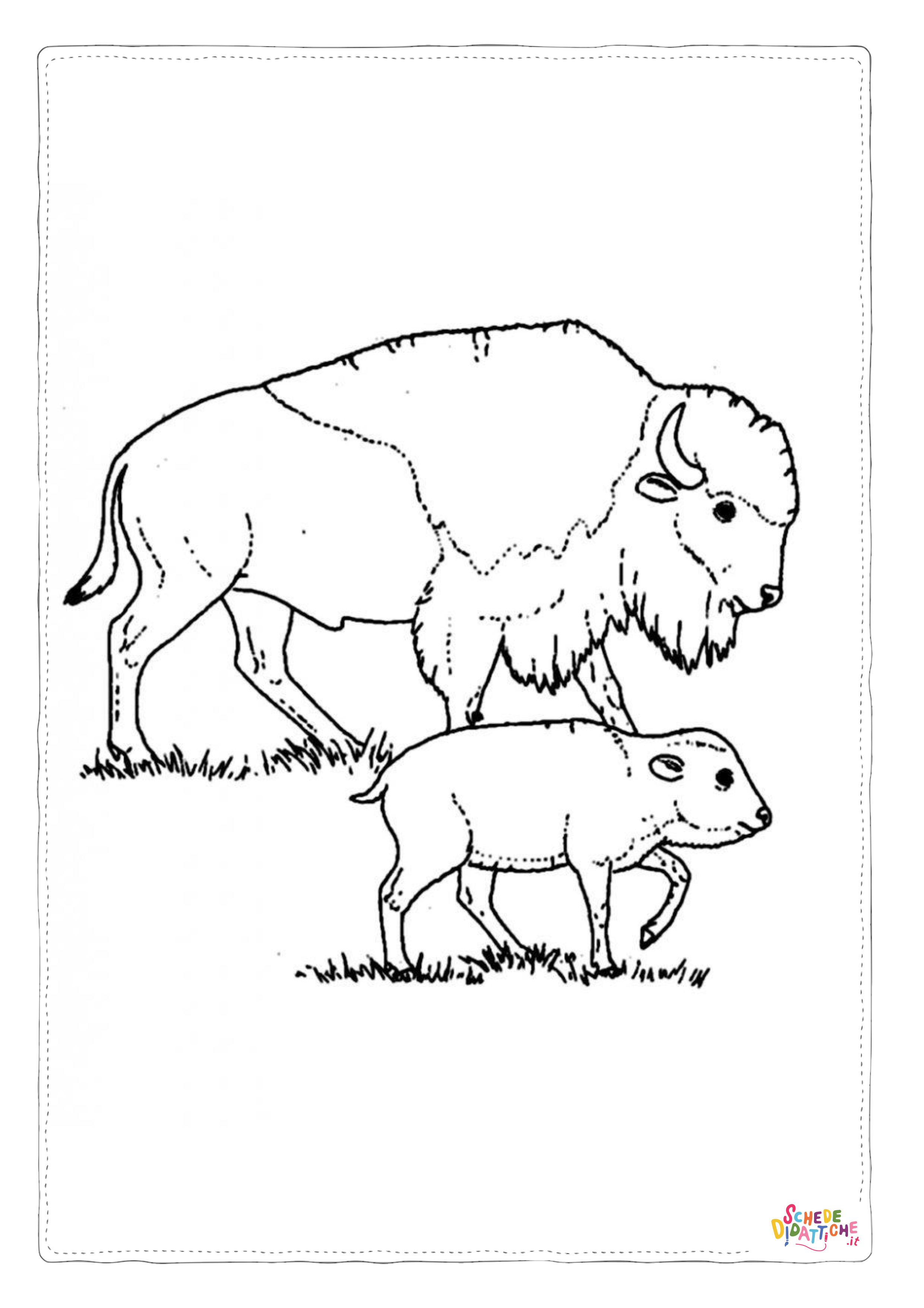 Disegno "Disegno di bisonte da stampare e colorare 13" Disegno di bisonte da stampare e colorare 13