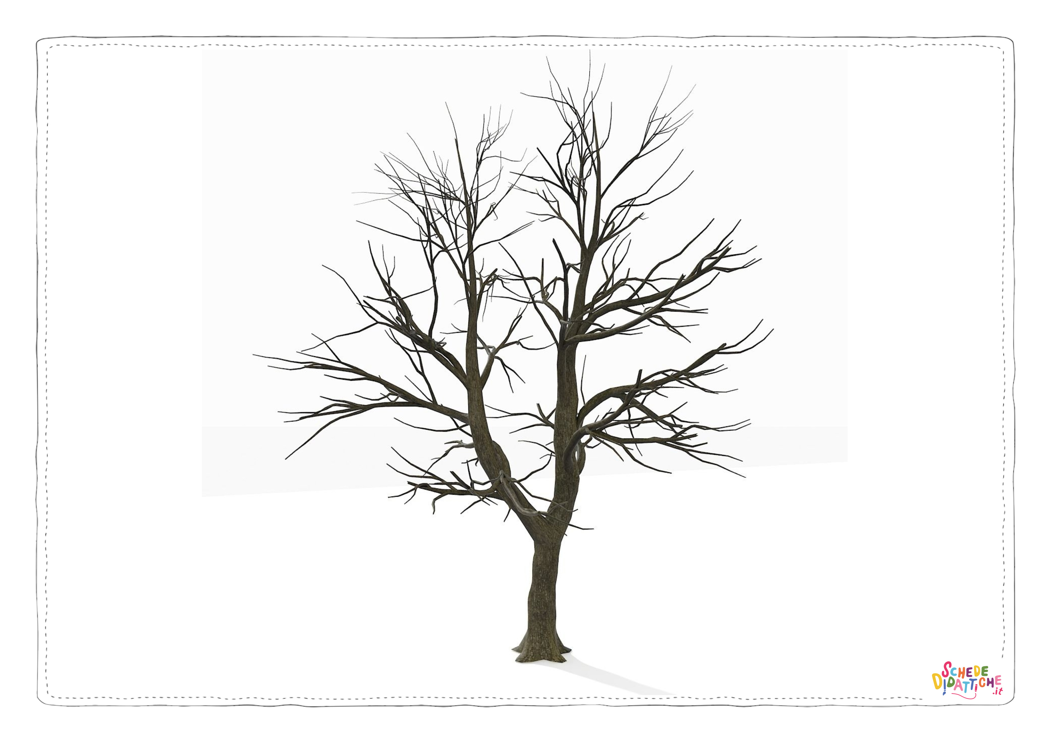 Disegno "Disegno di albero da stampare e colorare 76" Disegno di albero da stampare e colorare 76