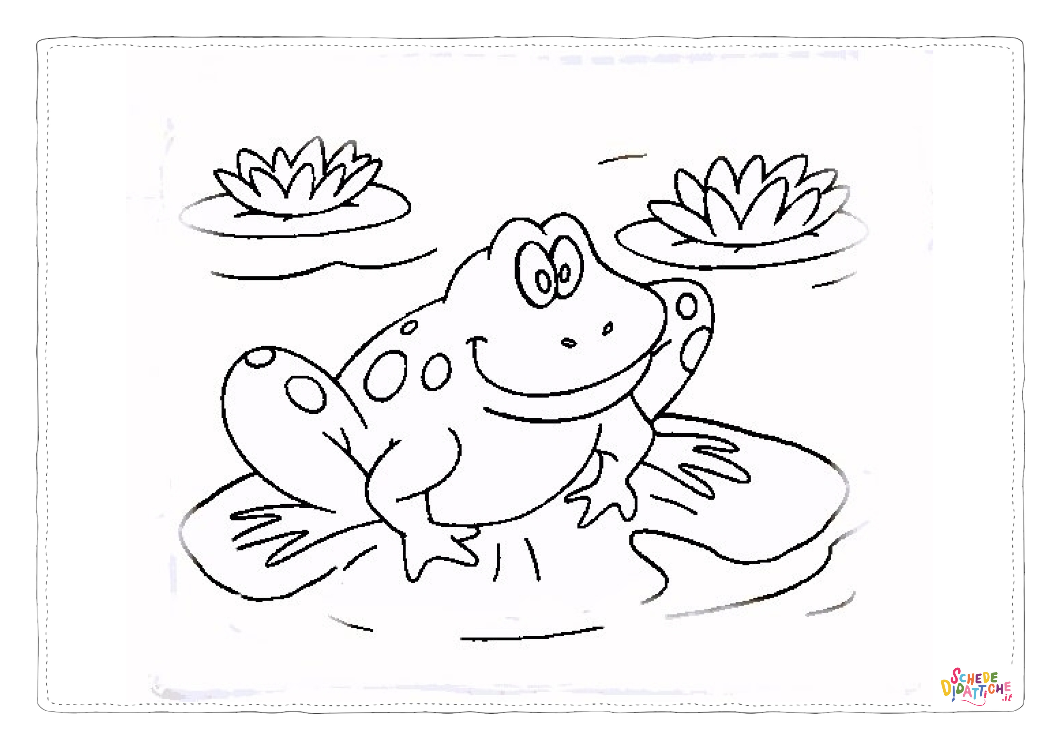 Disegno "Disegno di rana da stampare e colorare 47" Disegno di rana da stampare e colorare 47