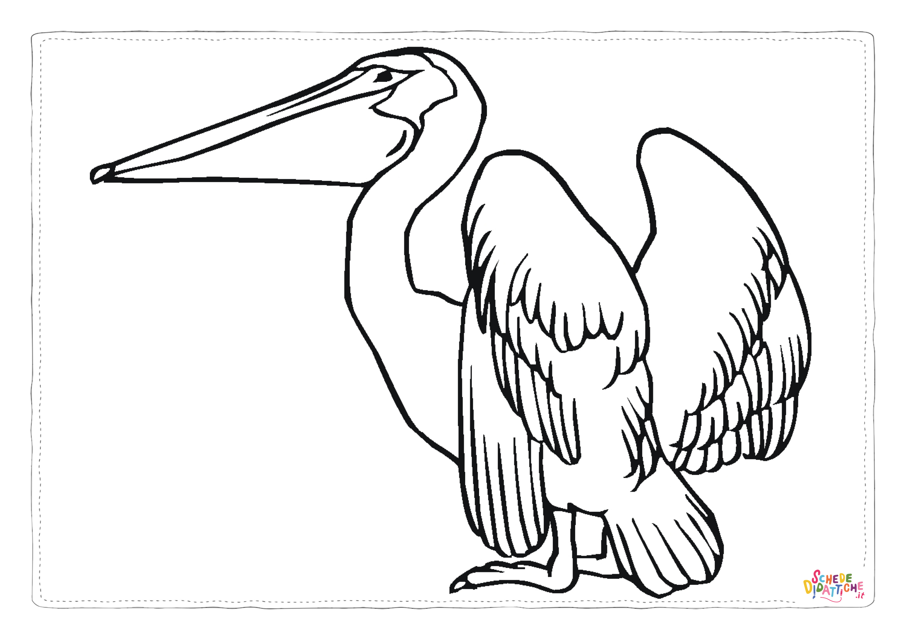 Disegno di pellicano da stampare e colorare 2