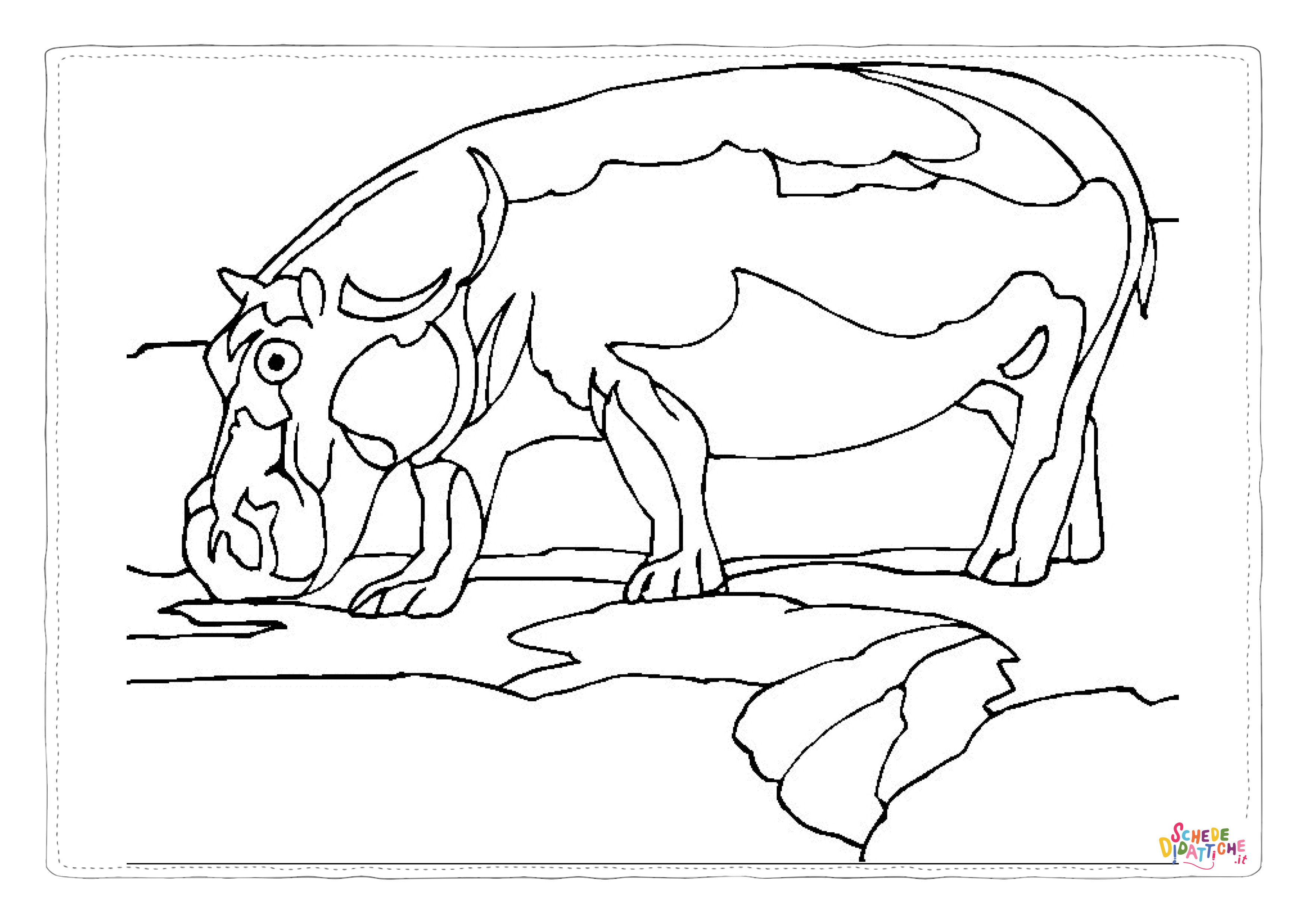 Disegno di ippopotamo da stampare e colorare 3