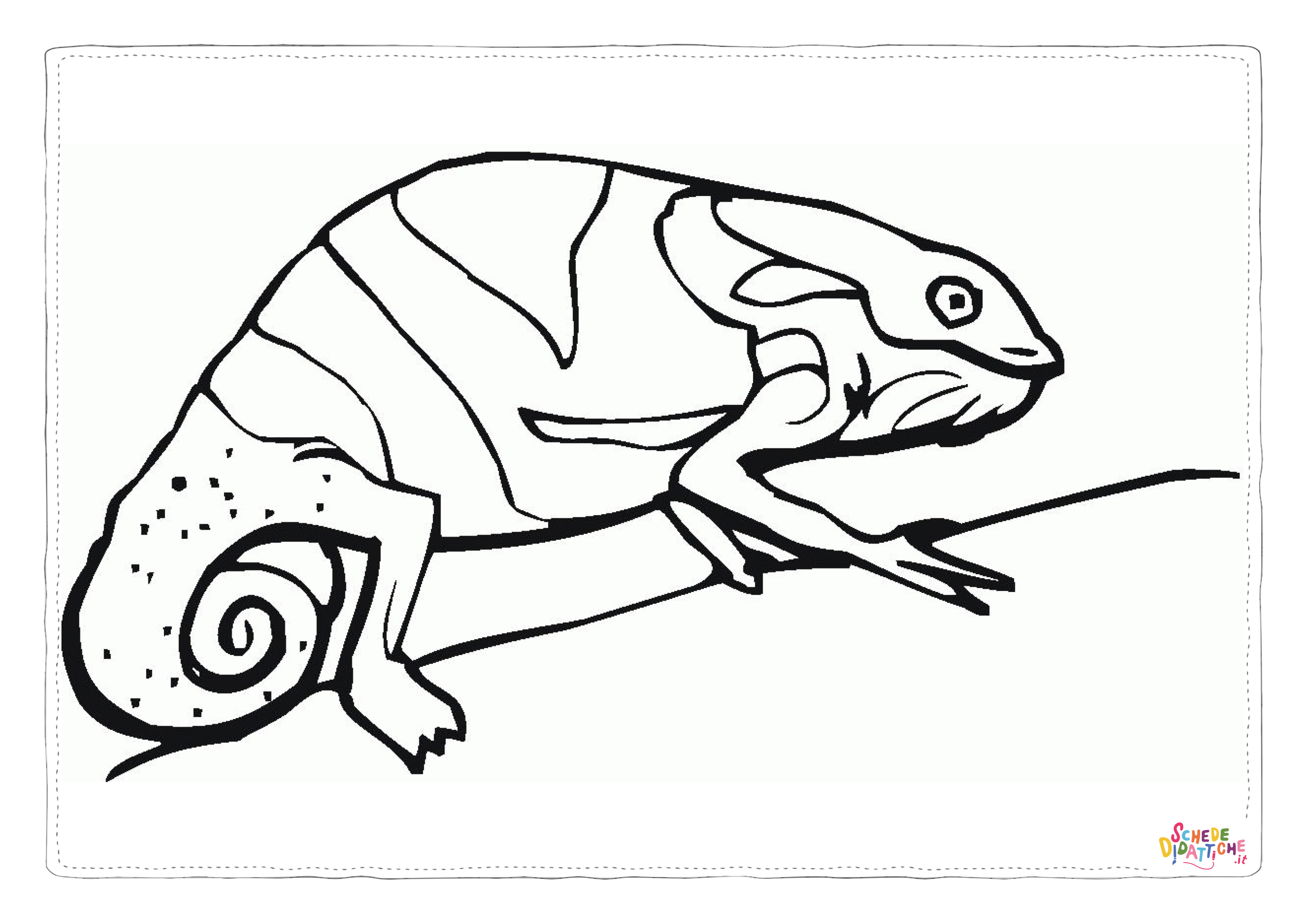 Disegno "Disegno di camaleonte da stampare e colorare 1" Disegno di camaleonte da stampare e colorare 1